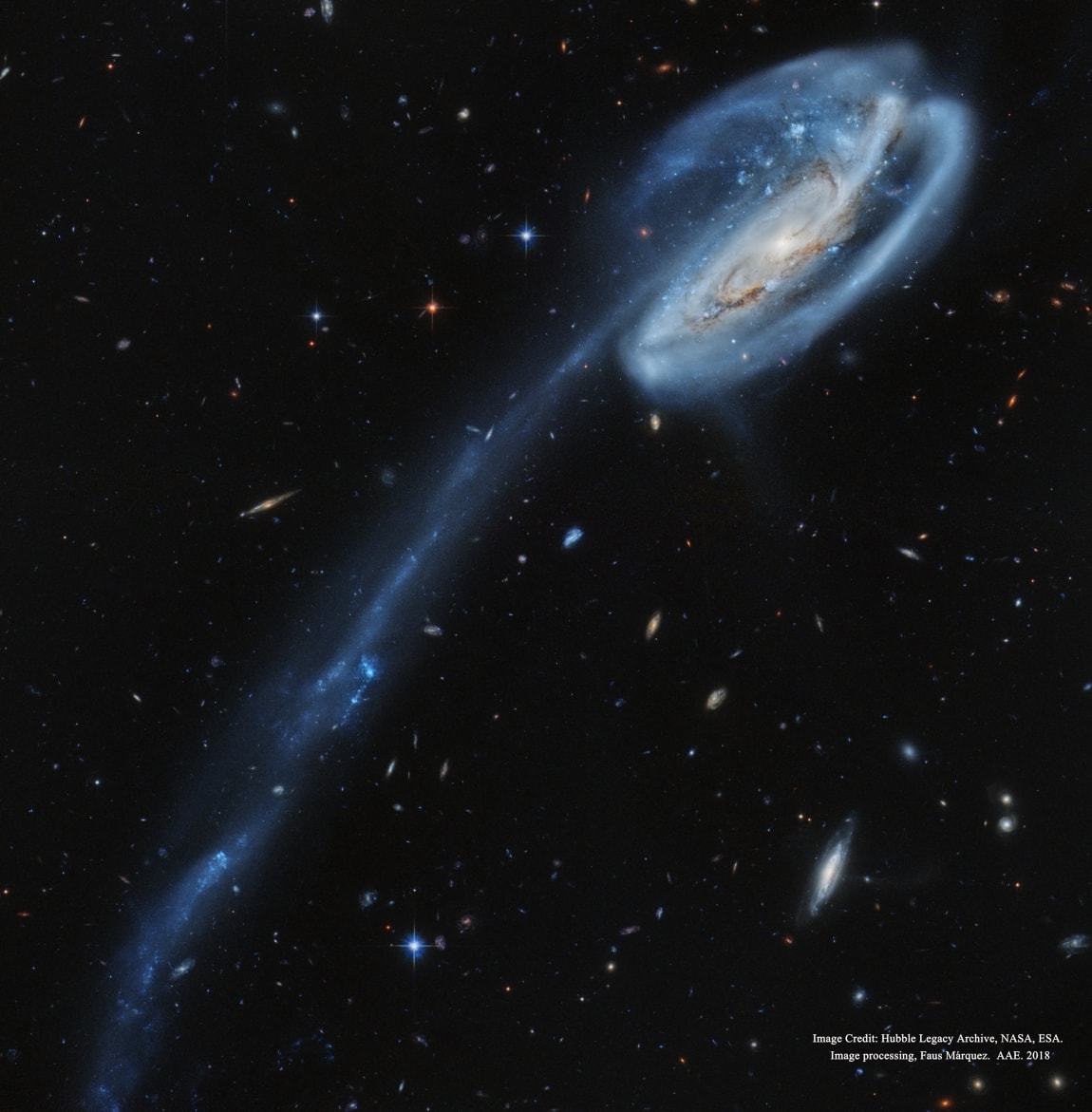 Why does this galaxy have such a long tail? In this stunning vista, based on image data from the Hubble Legacy Archive, distant galaxies form a dramatic backdrop for disrupted spiral galaxy Arp 188, the Tadpole Galaxy. The cosmic tadpole is a mere 420 million light-years distant toward the northern constellation of the Dragon (Draco). Its eye-catching tail is about 280 thousand light-years long and features massive, bright blue star clusters. One story goes that a more compact intruder galaxy crossed in front of Arp 188 - from right to left in this view - and was slung around behind the Tadpole by their gravitational attraction. During the close encounter, tidal forces drew out the spiral galaxy's stars, gas, and dust forming the spectacular tail. The intruder galaxy itself, estimated to lie about 300 thousand light-years behind the Tadpole, can be seen through foreground spiral arms at the upper right. Following its terrestrial namesake, the Tadpole Galaxy will likely lose its tail as it grows older, the tail's star clusters forming smaller satellites of the large spiral galaxy. New: Instagram page features cool images recently submitted to APOD
