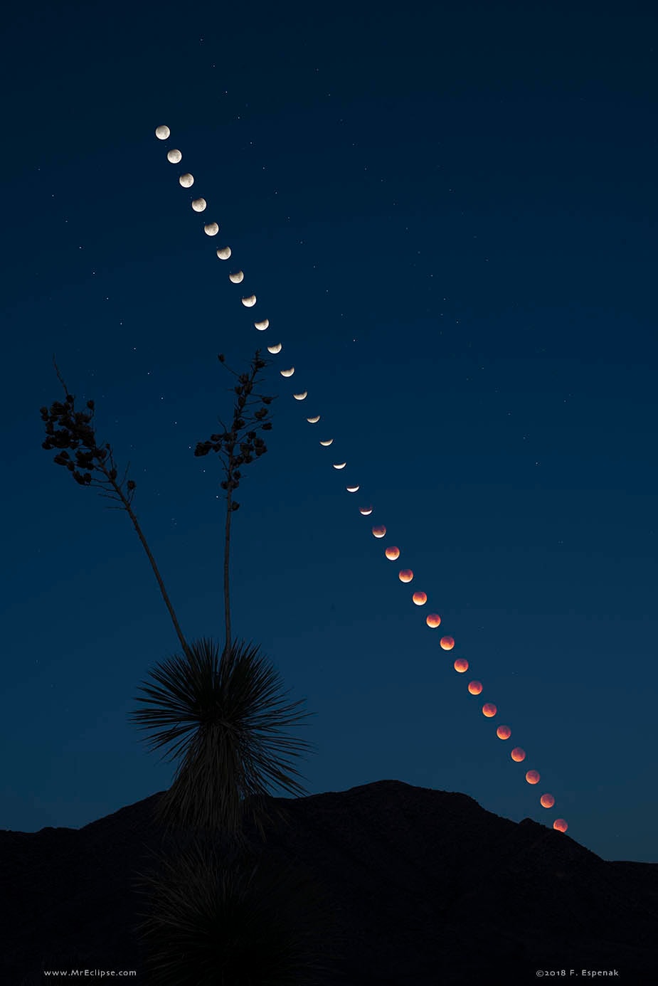 The Moon slid through Earth's shadow on January 31, 2018 in a total lunar eclipse. In this time-lapse sequence of that eclipse from Portal, Arizona, USA, the partial eclipse starts with the Moon high in the western sky. The eclipse total phase lasted about 76 minutes, but totality ended after the dark, reddened Moon set below the horizon. The upcoming total lunar eclipse, on the night of January 20/21, will be better placed for skygazers across the Americas, though. There, all 62 minutes of the total phase, when the Moon is completely immersed in Earth's dark umbral shadow, will take place with the Moon above the horizon. Watch it if you can. The next total lunar eclipse visible from anywhere on planet Earth won't take place until May 26, 2021, and then the total eclipse will last a mere 15 minutes.