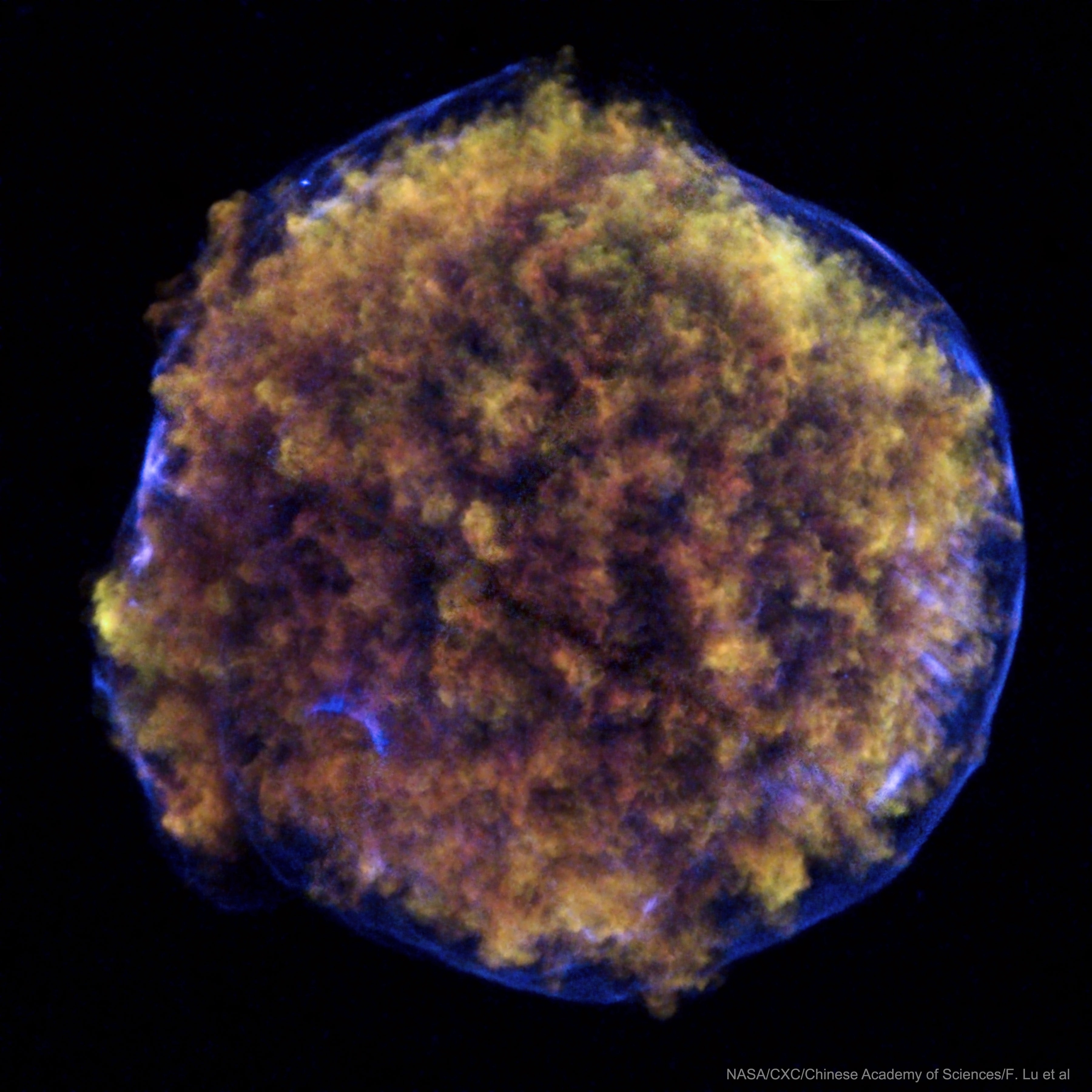 What star created this huge puffball? What's pictured is the hot expanding nebula of Tycho's supernova remnant, the result of a stellar explosion first recorded over 400 years ago by the famous astronomer Tycho Brahe. The featured image is a composite of three X-ray colors taken by the orbiting Chandra X-ray Observatory. The expanding gas cloud is extremely hot, while slightly different expansion speeds have given the cloud a puffy appearance. Although the star that created SN 1572, is likely completely gone, a star dubbed Tycho G, too dim to be discerned here, is thought to be a companion. Finding progenitor remnants of Tycho's supernova is particularly important because the supernova is of Type Ia, an important rung in the distance ladder that calibrates the scale of the visible universe. The peak brightness of Type Ia supernovas is thought to be well understood, making them quite valuable in exploring the relationship between faintness and farness in the distant universe.