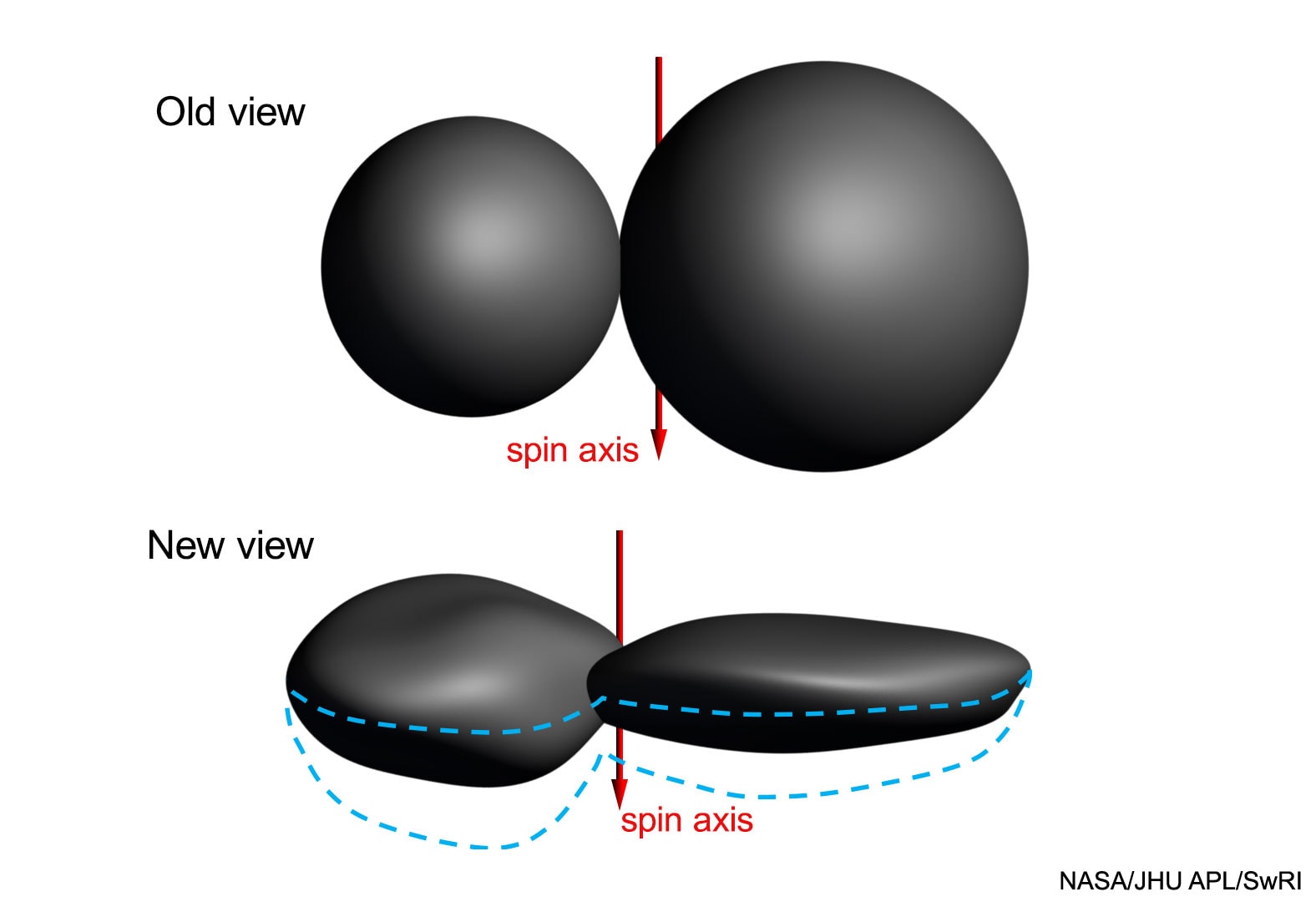 Ultima Thule is not the object humanity thought that it was last month. When the robotic New Horizons spacecraft zoomed past the distant asteroid Ultima Thule (officially 2014 MU69) in early January, early images showed two circular lobes that when most simply extrapolated to 3D were thought to be, roughly, spheres. However, analyses of newly beamed-back images -- including many taken soon after closest approach -- shows eclipsed stars re-appearing sooner than expected. The only explanation possible is that this 30-km long Kuiper belt object has a different 3D shape than believed only a few weeks ago. Specifically, as shown in the featured illustration, it now appears that the larger lobe -- Ultima -- is more similar to a fluffy pancake than a sphere, while the smaller lobe -- Thule -- resembles a dented walnut. The remaining uncertainty in the outlines are shown by the dashed blue lines. The new shape information indicates that gravity -- which contracts more massive bodies into spheres -- played perhaps less of a role in contouring the lobes of Ultima Thule than previously thought. The New Horizons spacecraft continued on to Ultima Thule after passing Pluto in mid-2015. New data and images are still being received.