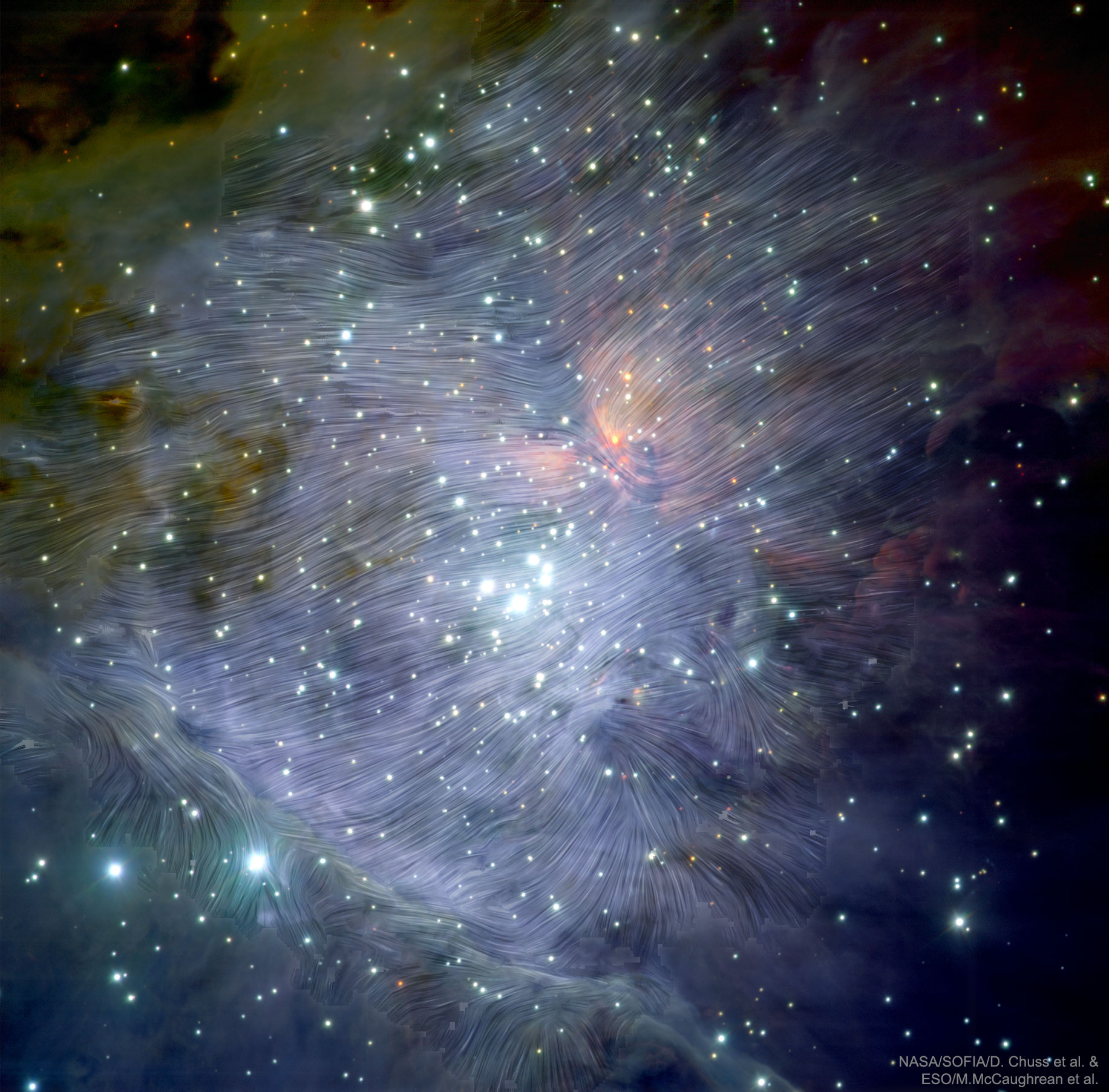 Can magnetism affect how stars form? Recent analysis of Orion data from the HAWC+ instrument on the airborne SOFIA observatory indicate that, at times, it can. HAWC+ is able to measure the polarization of far-infrared light which can reveal the alignment of dust grains by expansive ambient magnetic fields. In the featured image, these magnetic fields are shown as curvy lines superposed on an infrared image of the Orion Nebula taken by a Very Large Telescope in Chile. Orion's Kleinmann-Low Nebula is visible slightly to the upper right of the image center, while bright stars of the Trapezium cluster are visible just to the lower left of center. The Orion Nebula at about l300 light years distant is the nearest major star formation region to the Sun.