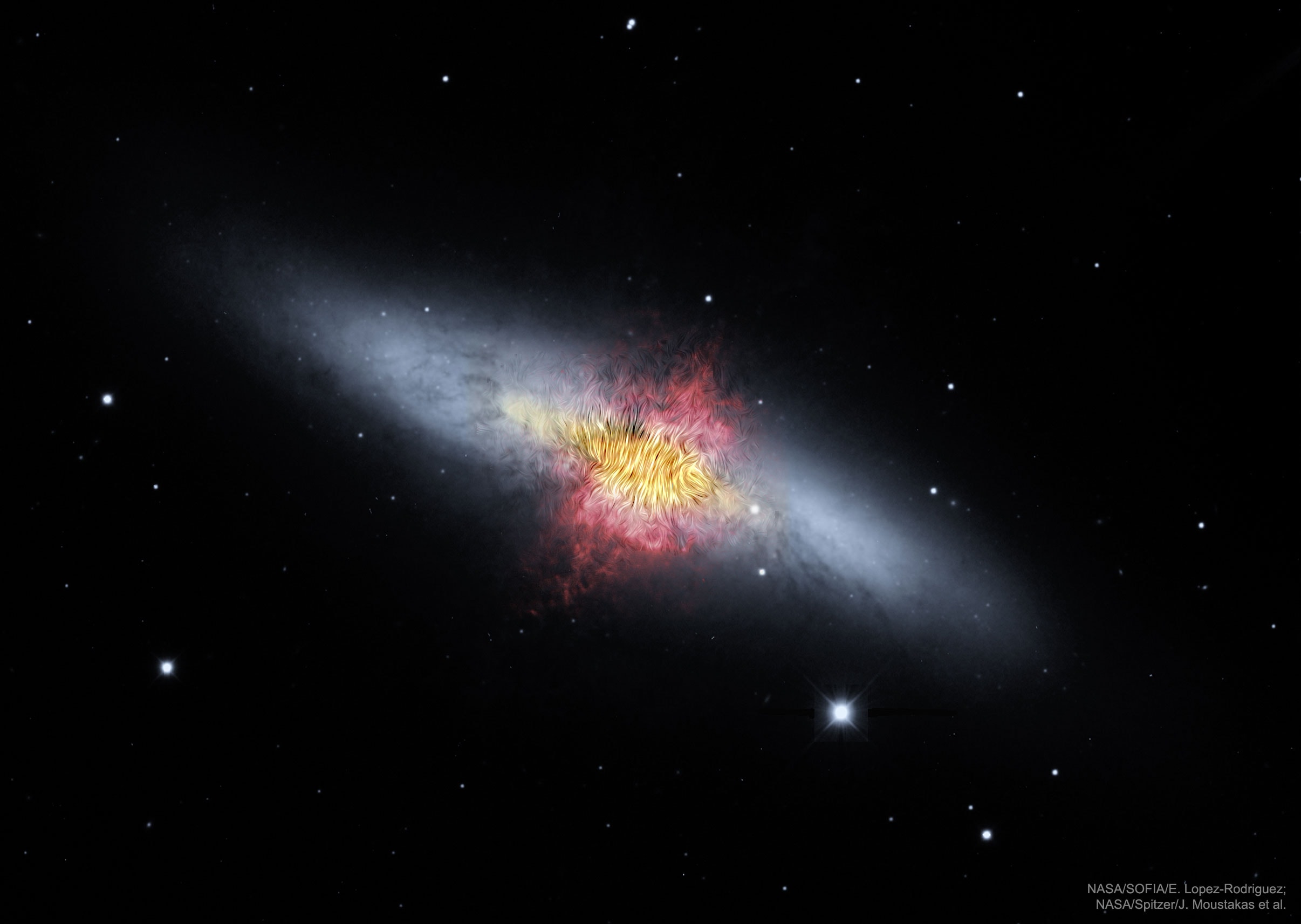 Are galaxies giant magnets? Yes, but the magnetic fields in galaxies are typically much weaker than on Earth's surface, as well as more complex and harder to measure. Recently, though, the HAWC+ instrument onboard the airborne (747) SOFIA observatory has been successful in detailing distant magnetic fields by observing the polarized infrared light emitted by elongated dust grains rotating in alignment with the local magnetic field. HAWC+ observations of M82, the Cigar galaxy, show that the central magnetic field is perpendicular to the disk and parallel to the strong supergalactic wind. This observation bolsters the hypothesis that M82's central magnetic field helps its wind transport the mass of millions of stars out from the central star-burst region. The featured image shows magnetic field lines superposed on top of an optical light (gray) and hydrogen gas (red) image from Kitt Peak National Observatory, further combined with infrared images (yellow) from SOFIA and the Spitzer Space Telescope. The Cigar Galaxy is about 12 million light years distant and visible with binoculars towards the constellation of the Great Bear.