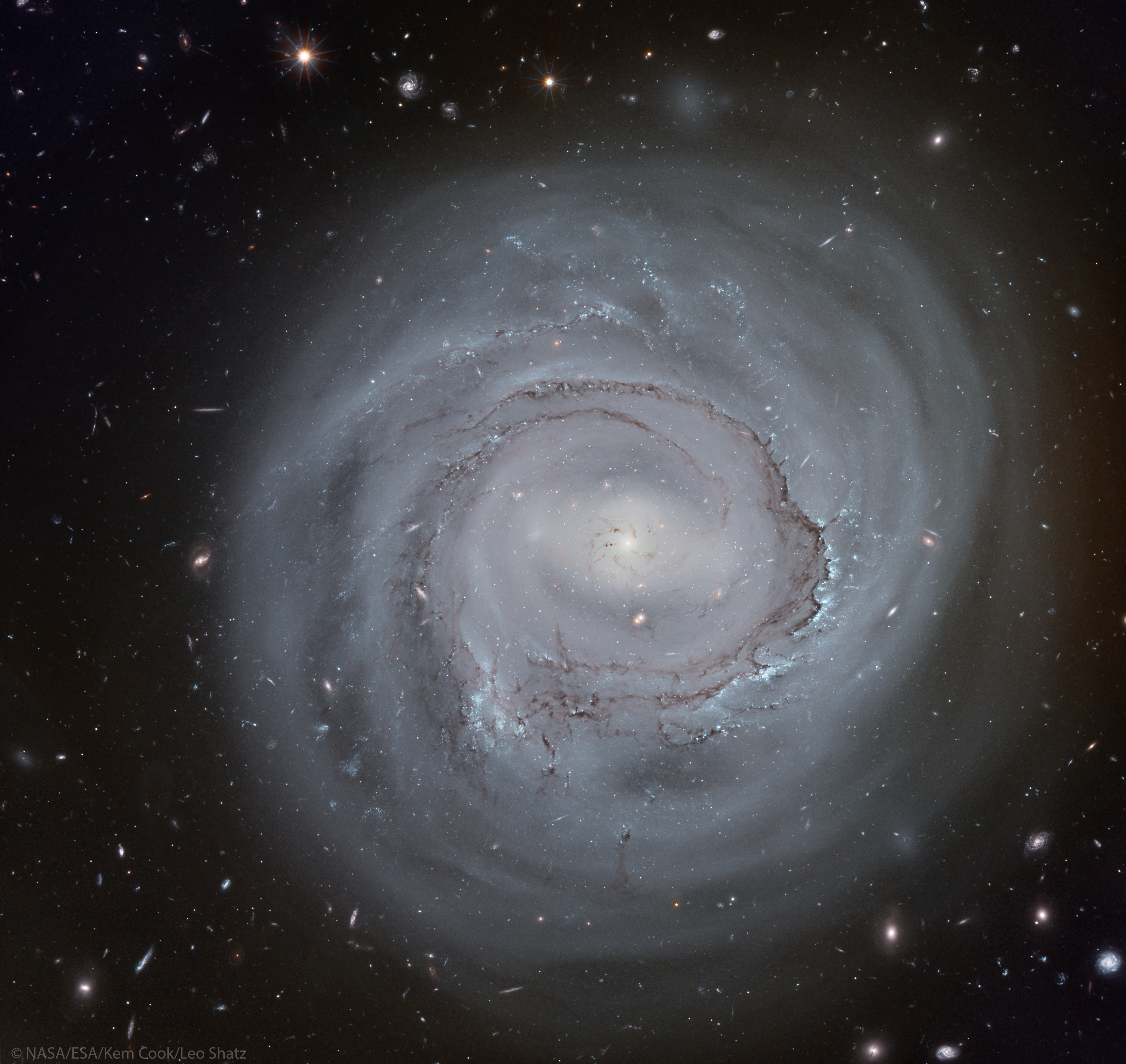 How far away is spiral galaxy NGC 4921? It's surpringly important to know. Although presently estimated to be about 300 million light years distant, a more precise determination could be coupled with its known recession speed to help humanity better calibrate the expansion rate of the entire visible universe. Toward this goal, several images were taken by the Hubble Space Telescope in order to help identify key stellar distance markers known as Cepheid variable stars. Since NGC 4921 is a member of the Coma Cluster of Galaxies, refining its distance would also allow a better distance determination to one of the largest nearby clusters in the local universe. The magnificent spiral NGC 4921 has been informally dubbed anemic because of its low rate of star formation and low surface brightness. Visible in the featured image are, from the center, a bright nucleus, a bright central bar, a prominent ring of dark dust, blue clusters of recently formed stars, several smaller companion galaxies, unrelated galaxies in the far distant universe, and unrelated stars in our Milky Way Galaxy. APOD in other languages: Arabic, Catalan, Chinese (Beijing), Chinese (Taiwan), Croatian, Czech, Dutch, German, French, French, Hebrew, Indonesian, Japanese, Korean, Montenegrin, Polish, Russian, Serbian, Slovenian, Spanish and Ukrainian