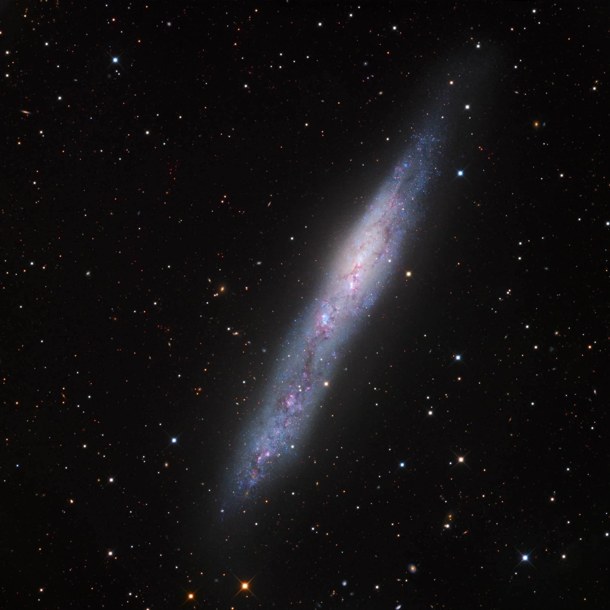 Irregular galaxy NGC 55 is thought to be similar to the Large Magellanic Cloud (LMC). But while the LMC is about 180,000 light-years away and a well-known satellite of our own Milky Way Galaxy, NGC 55 is more like 6 million light-years distant, a member of the Sculptor Galaxy Group. Classified as an irregular galaxy, in deep exposures the LMC itself resembles a barred disk galaxy. Spanning about 50,000 light-years, NGC 55 is seen nearly edge-on though, presenting a flattened, narrow profile in contrast with our face-on view of the LMC. Just as large star forming regions create emission nebulae in the LMC, NGC 55 is also seen to be producing new stars. This highly detailed galaxy portrait highlights a bright core crossed with dust clouds, telltale pinkish star forming regions, and young blue star clusters in NGC 55.