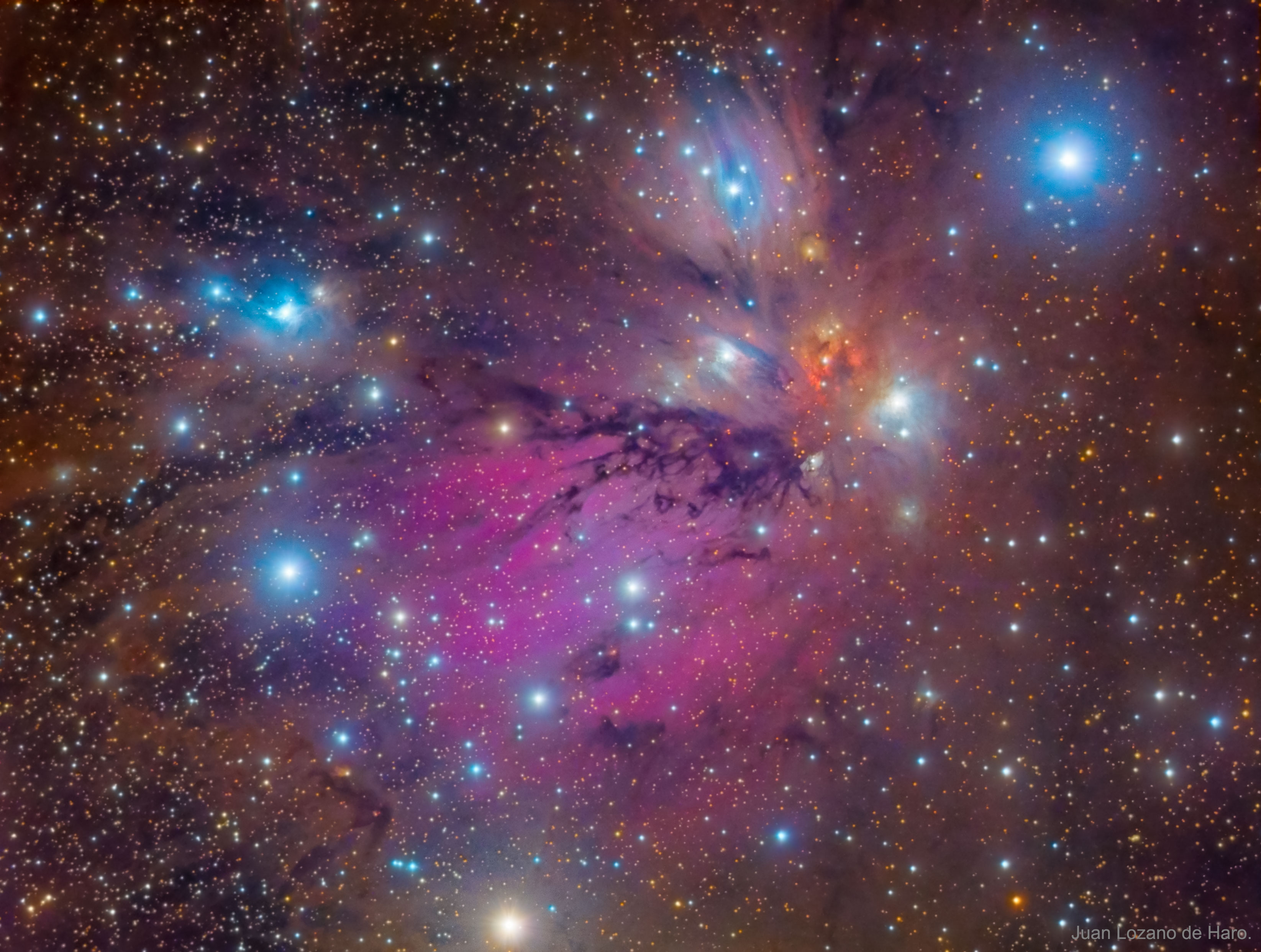 Is this a painting or a photograph? In this classic celestial still life composed with a cosmic brush, dusty nebula NGC 2170, also known as the Angel Nebula, shines near the image center. Reflecting the light of nearby hot stars, NGC 2170 is joined by other bluish reflection nebulae, a red emission region, many dark absorption nebulae, and a backdrop of colorful stars. Like the common household items that still life painters often choose for their subjects, the clouds of gas, dust, and hot stars featured here are also commonly found in this setting -- a massive, star-forming molecular cloud in the constellation of the Unicorn (Monoceros). The giant molecular cloud, Mon R2, is impressively close, estimated to be only 2,400 light-years or so away. At that distance, this canvas would be over 60 light-years across.