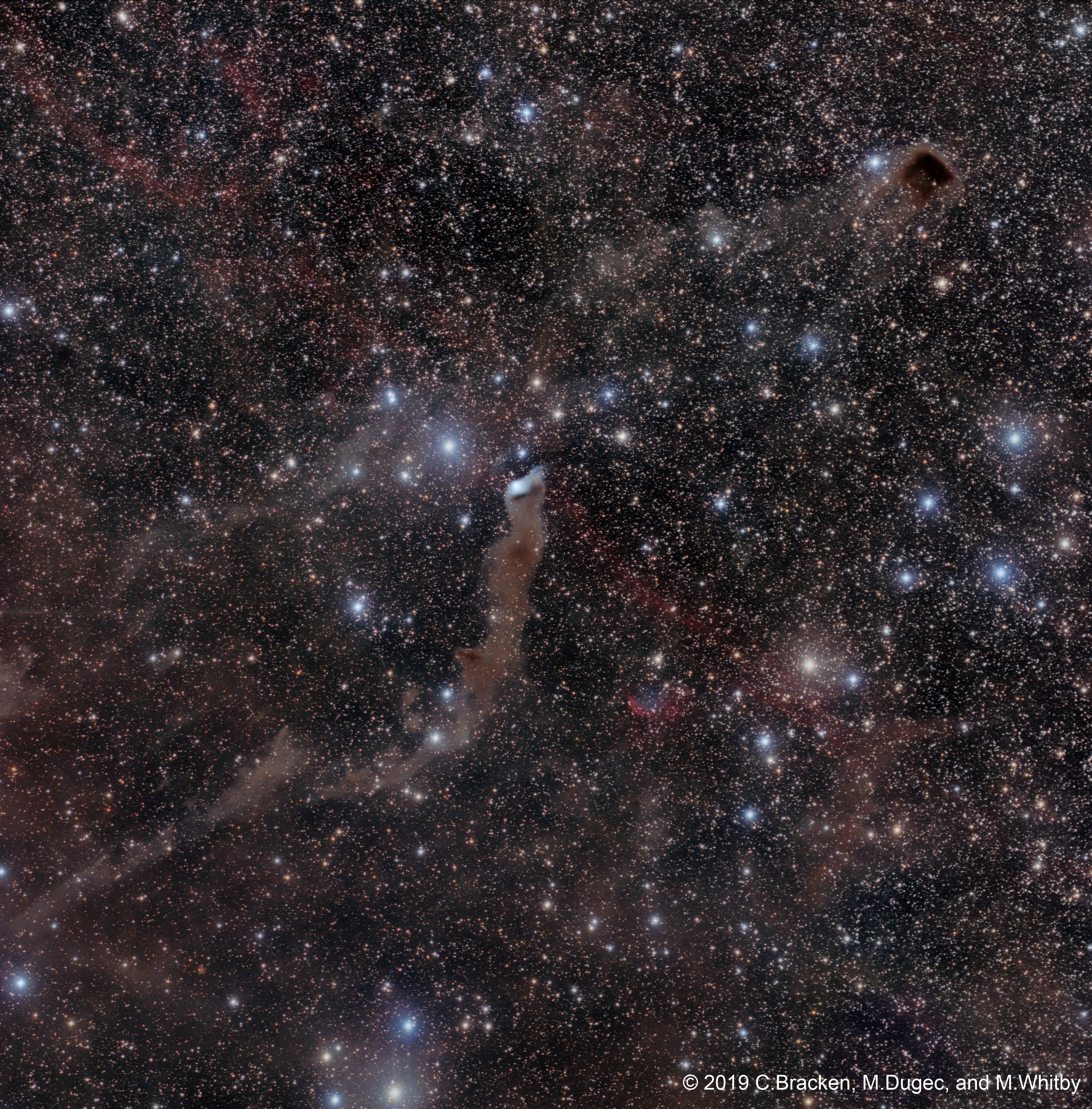 The mysterious blue reflection nebula found in catalogs as VdB 152 or Ced 201 really is very faint. It lies at the tip of the long dark nebula Barnard 175 in a dusty complex that has also been called Wolf's Cave. At the center of this deep and widefield telescopic view, the cosmic apparitions are nearly 1,400 light-years away along the northern Milky Way in the royal constellation Cepheus. Near the edge of a large molecular cloud, pockets of interstellar dust in the region block light from background stars or scatter light from the embedded bright star giving the the nebula its characteristic blue color. Ultraviolet light from the star is also thought to cause a dim reddish luminescence in the nebular dust. Though stars do form in molecular clouds, this star seems to have only accidentally wandered into the area, as its measured velocity through space is very different from the cloud's velocity. Another dense, obscuring dark nebula, LDN 1221, is easy to spot at the upper right in the frame, while the more colorful planetary nebula Dengel-Hartl 5 is just below center. Faint reddish emission from an ancient supernova remnant can also be traced (lower right to upper left) against the dust-rich complex in Cepheus.