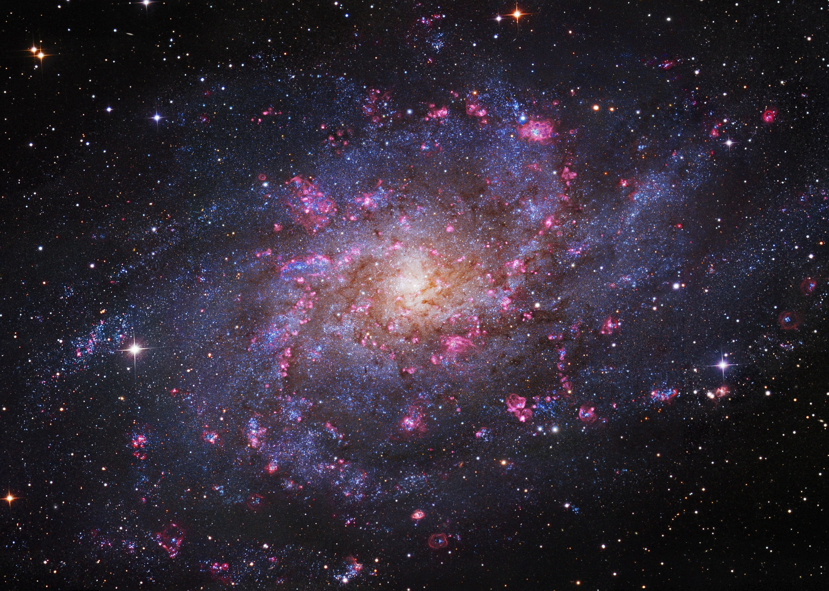 Gorgeous spiral galaxy M33 seems to have more than its fair share of glowing hydrogen gas. A prominent member of the local group of galaxies, M33 is also known as the Triangulum Galaxy and lies a mere 3 million light-years away. The galaxy's inner 30,000 light-years or so are shown in this magnificent 25 panel telescopic mosaic. Based on image data from space and ground-based telescopes, the portrait of M33 shows off the galaxy's reddish ionized hydrogen clouds or HII regions. Sprawling along loose spiral arms that wind toward the core, M33's giant HII regions are some of the largest known stellar nurseries, sites of the formation of short-lived but very massive stars. Intense ultraviolet radiation from the luminous, massive stars ionizes the surrounding hydrogen gas and ultimately produces the characteristic red glow. To enhance this image, broadband data were used to produce a color view of the galaxy and combined with narrowband data recorded through a hydrogen-alpha filter. That filter transmits the light of the strongest visible hydrogen emission line.