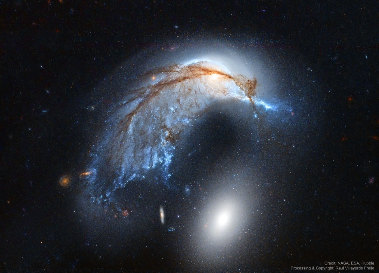 What's happening to this spiral galaxy? Just a few hundred million years ago, NGC 2936, the upper of the two large galaxies shown, was likely a normal spiral galaxy -- spinning, creating stars -- and minding its own business. But then it got too close to the massive elliptical galaxy NGC 2937 below and took a dive. Dubbed the Porpoise Galaxy for its iconic shape, NGC 2936 is not only being deflected but also being distorted by the close gravitational interaction. A burst of young blue stars forms the nose of the porpoise toward the right of the upper galaxy, while the center of the spiral appears as an eye. Alternatively, the galaxy pair, together known as Arp 142, look to some like a penguin protecting an egg. Either way, intricate dark dust lanes and bright blue star streams trail the troubled galaxy to the lower right. The featured re-processed image showing Arp 142 in unprecedented detail was taken by the Hubble Space Telescope last year. Arp 142 lies about 300 million light years away toward the constellation, coincidently, of the Water Snake (Hydra). In a billion years or so the two galaxies will likely merge into one larger galaxy.