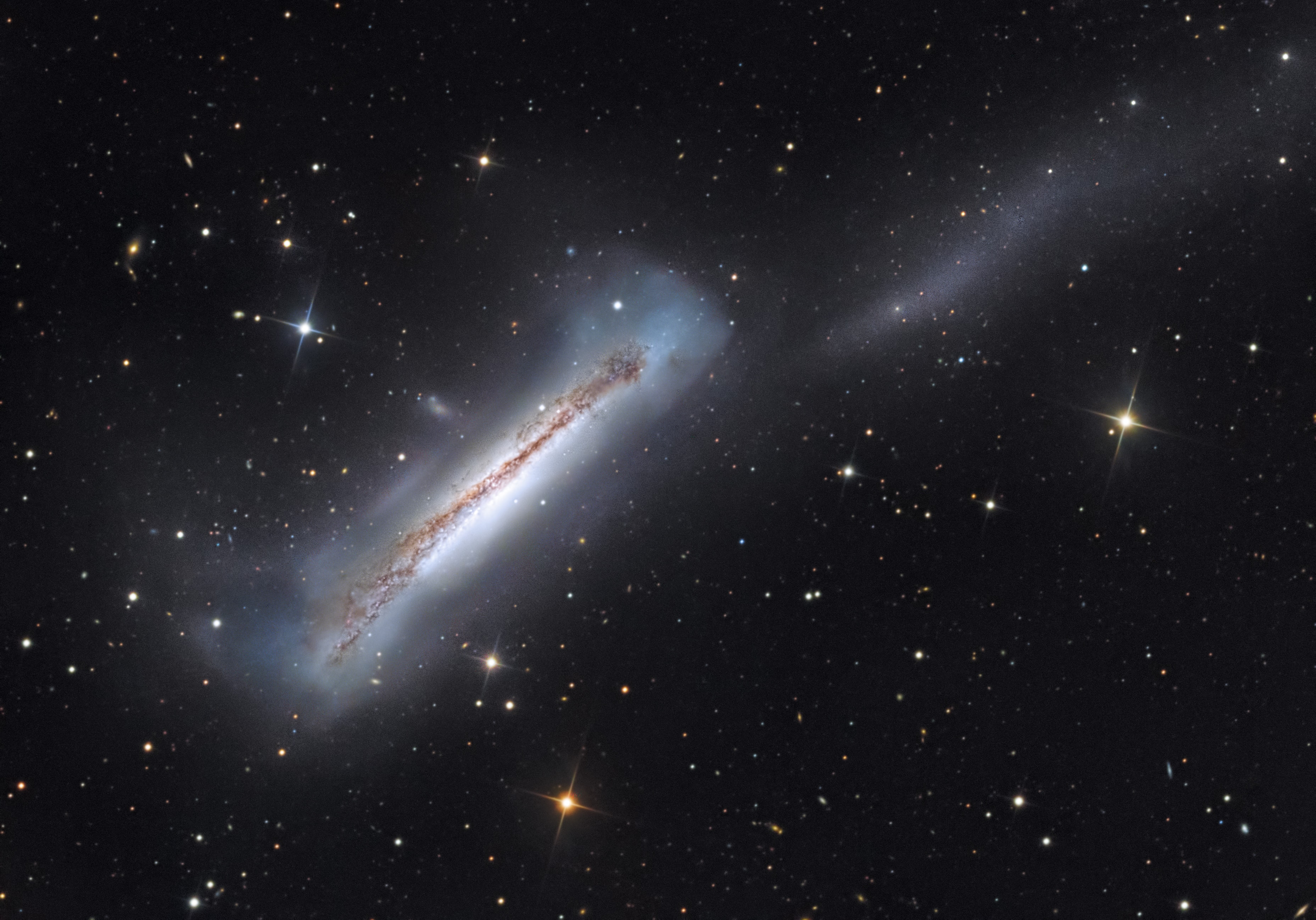 Sharp telescopic views of NGC 3628 show a puffy galactic disk divided by dark dust lanes. Of course, this deep portrait of the magnificent, edge-on spiral galaxy puts some astronomers in mind of its popular moniker, the Hamburger Galaxy. It also reveals a small galaxy nearby, likely a satellite of NGC 3628, and a faint but extensive tidal tail. The drawn out tail stretches for about 300,000 light-years, even beyond the right edge of the wide frame. NGC 3628 shares its neighborhood in the local universe with two other large spirals M65 and M66 in a grouping otherwise known as the Leo Triplet. Gravitational interactions with its cosmic neighbors are likely responsible for creating the tidal tail, as well as the extended flare and warp of this spiral's disk. The tantalizing island universe itself is about 100,000 light-years across and 35 million light-years away in the northern springtime constellation Leo.