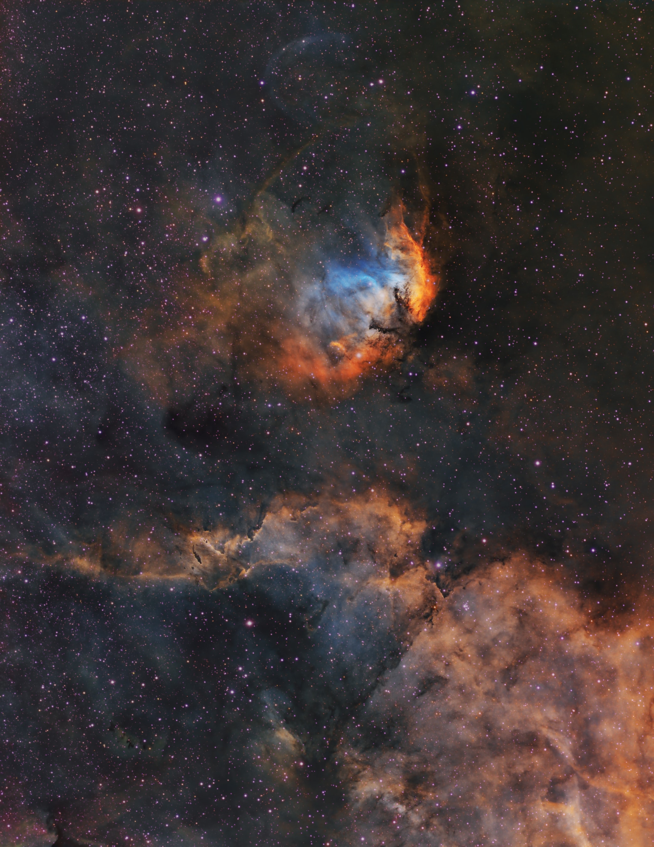 This tall telescopic field of view looks out along the plane of our Milky Way Galaxy toward the nebula rich constellation Cygnus the Swan. Popularly called the Tulip Nebula, the brightest glowing cloud of interstellar gas and dust above center is also found in the 1959 catalog by astronomer Stewart Sharpless as Sh2-101. Nearly 70 light-years across the complex and beautiful Tulip Nebula blossoms about 8,000 light-years away, shown in a Hubble palette image that maps the glow of the nebula's sulfur, hydrogen, and oxygen ions into red, green, and blue colors. Ultraviolet radiation from young energetic stars at the edge of the Cygnus OB3 association, including O star HDE 227018, ionizes the atoms and powers the emission from the Tulip Nebula. Also in the field of view is microquasar Cygnus X-1, one of the strongest X-ray sources in planet Earth's sky. Driven by powerful jets from a black hole accretion disk, its fainter bluish curved shock front is only just visible though, directly above the cosmic Tulip's petals near the top of the frame.