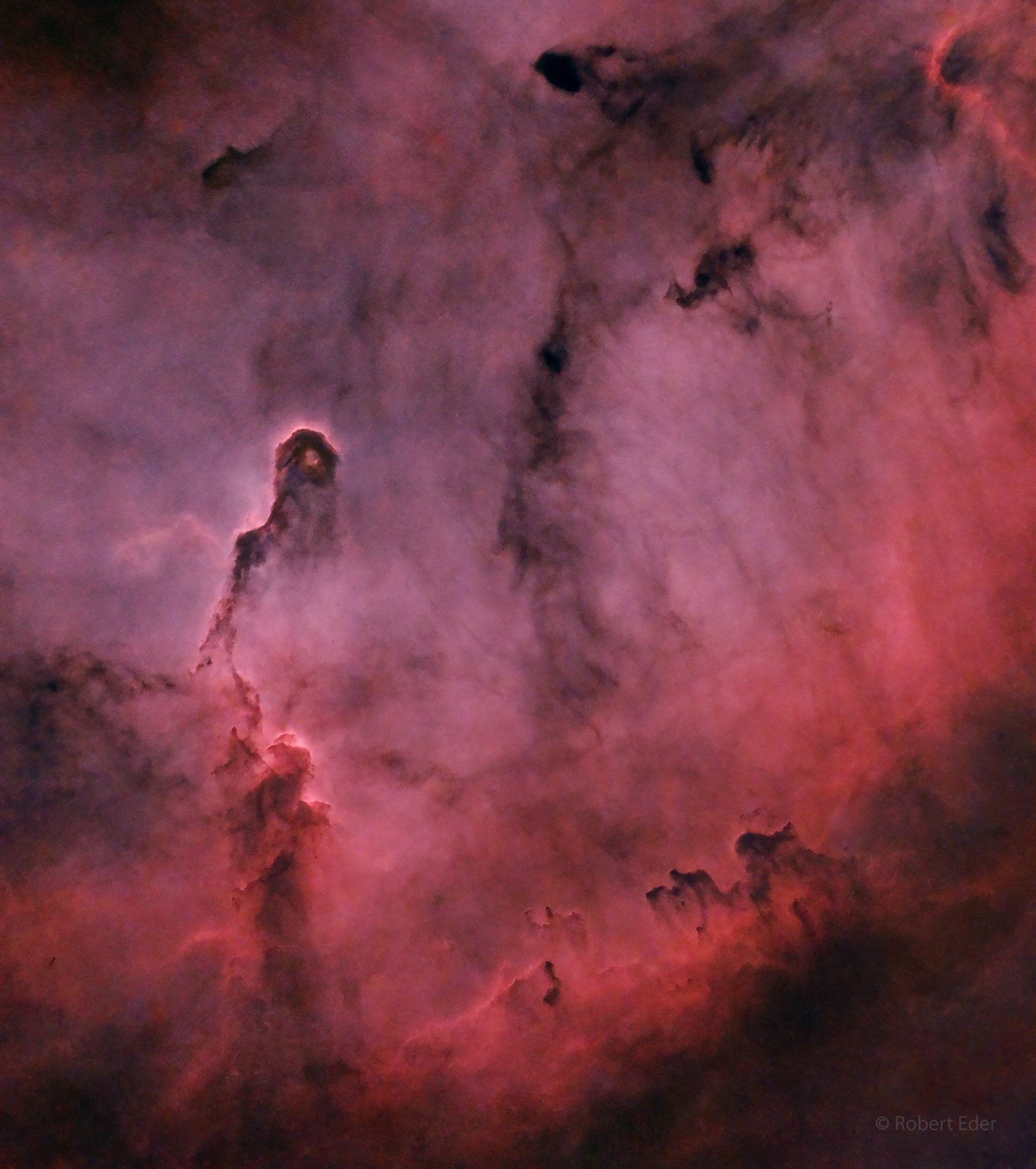 Like an illustration in a galactic Just So Story, the Elephant's Trunk Nebula winds through the emission nebula and young star cluster complex IC 1396, in the high and far off constellation of Cepheus. Also known as vdB 142, seen on the left the cosmic elephant's trunk is over 20 light-years long. Removed by digital processing, no visible stars are in this detailed telescopic close-up view highlighting the bright swept-back ridges that outline pockets of cool interstellar dust and gas. But the dark, tendril-shaped clouds contain the raw material for star formation and hide protostars within. Nearly 3,000 light-years distant, the relatively faint IC 1396 complex covers a large region on the sky, spanning over 5 degrees. This starless rendition spans a 1 degree wide field of view though, about the angular size of 2 full moons. Of course the dark shapes below and right, marching toward the winding Elephant's Trunk, are known to some as The Caravan.