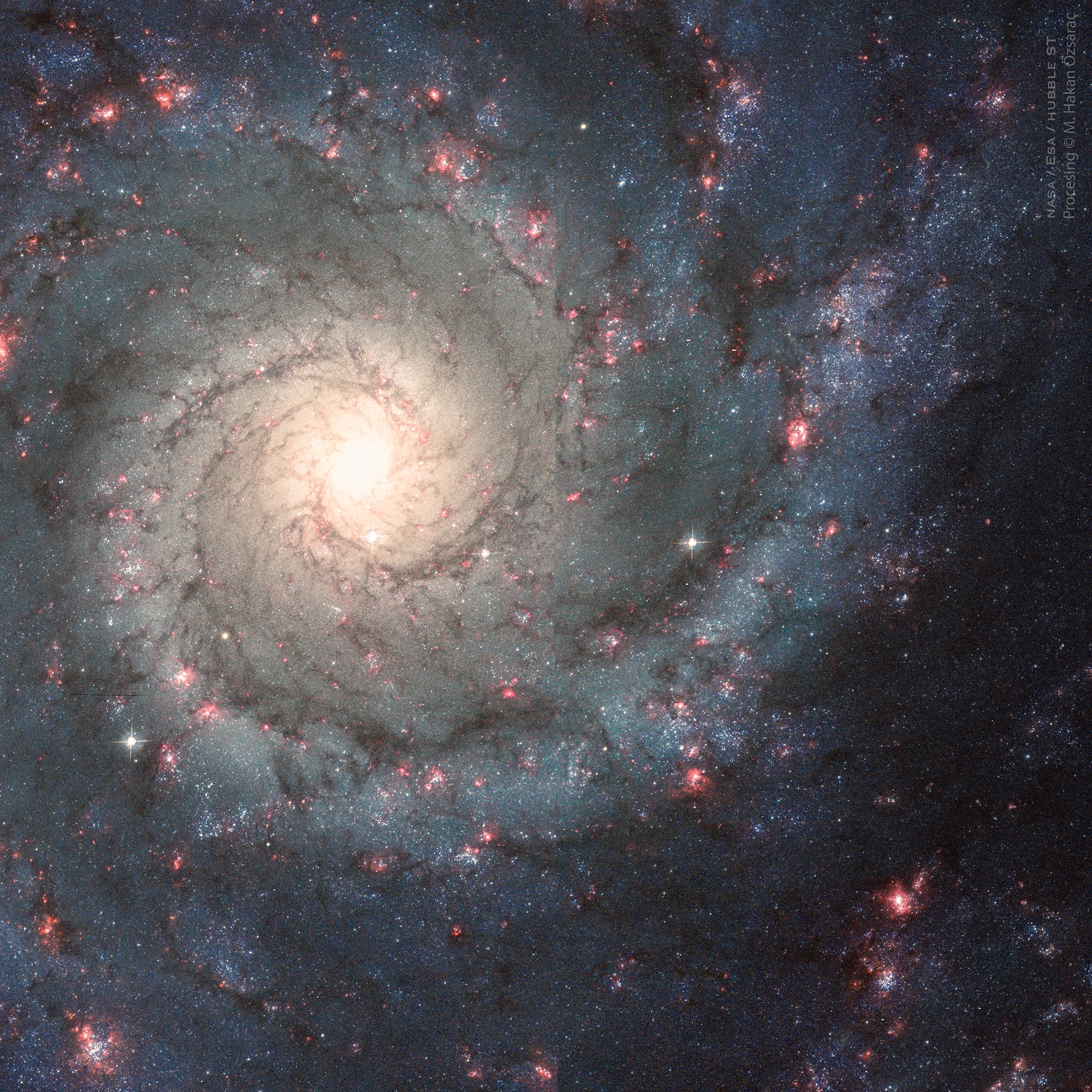 If not perfect then this spiral galaxy is at least one of the most photogenic. An island universe of about 100 billion stars, 32 million light-years away toward the constellation Pisces, M74 presents a gorgeous face-on view. Classified as an Sc galaxy, the grand design of M74's graceful spiral arms are traced by bright blue star clusters and dark cosmic dust lanes. This sharp composite was constructed from image data recorded by the Hubble Space Telescope's Advanced Camera for Surveys. Spanning about 30,000 light-years across the face of M74, it includes exposures recording emission from hydrogen atoms, highlighting the reddish glow of the galaxy's large star-forming regions. With a lower surface brightness than most galaxies in the Messier catalog, M74 is sometimes known as the Phantom Galaxy. Notable APOD Image Submissions: Perseid Meteor Shower 2021