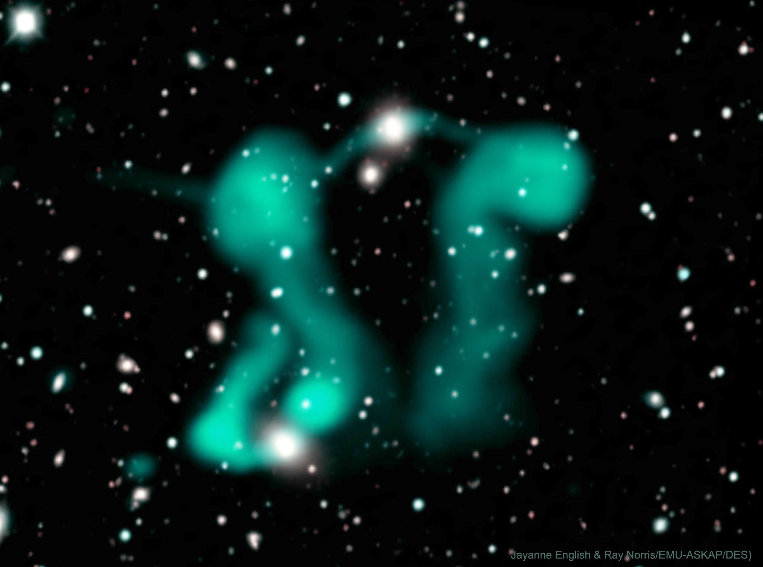 Why would galaxies emit jets that look like ghosts? And furthermore, why do they appear to be dancing? The curled and fluffy jets from the supermassive black holes at the centers of two host galaxies (top center and lower left) are unlike anything seen before. They were found by astronomers using the Australian Square Kilometer Array Pathfinder (ASKAP) radio telescope when creating maps tracing the evolution of galaxies. Images preceding this Evolutionary Map of the Universe survey only showed amorphous blobs. Eventually, comparisons of relative amounts of energy emitted revealed the glowing elongated structures were created by electrons streaming around magnetic field lines. Overlaying the radio data on an optical view of the sky (Dark Energy Survey) confirmed that the electron streams originated from the centers of active galaxies. Usually such Active Galactic Nuclei (AGN) produce straight jets. A leading hypothesis for the geometric origin of these unusually graceful shapes involves the flow of large-scale intergalactic winds. Astrophysicists: Browse 2,500+ codes in the Astrophysics Source Code Library