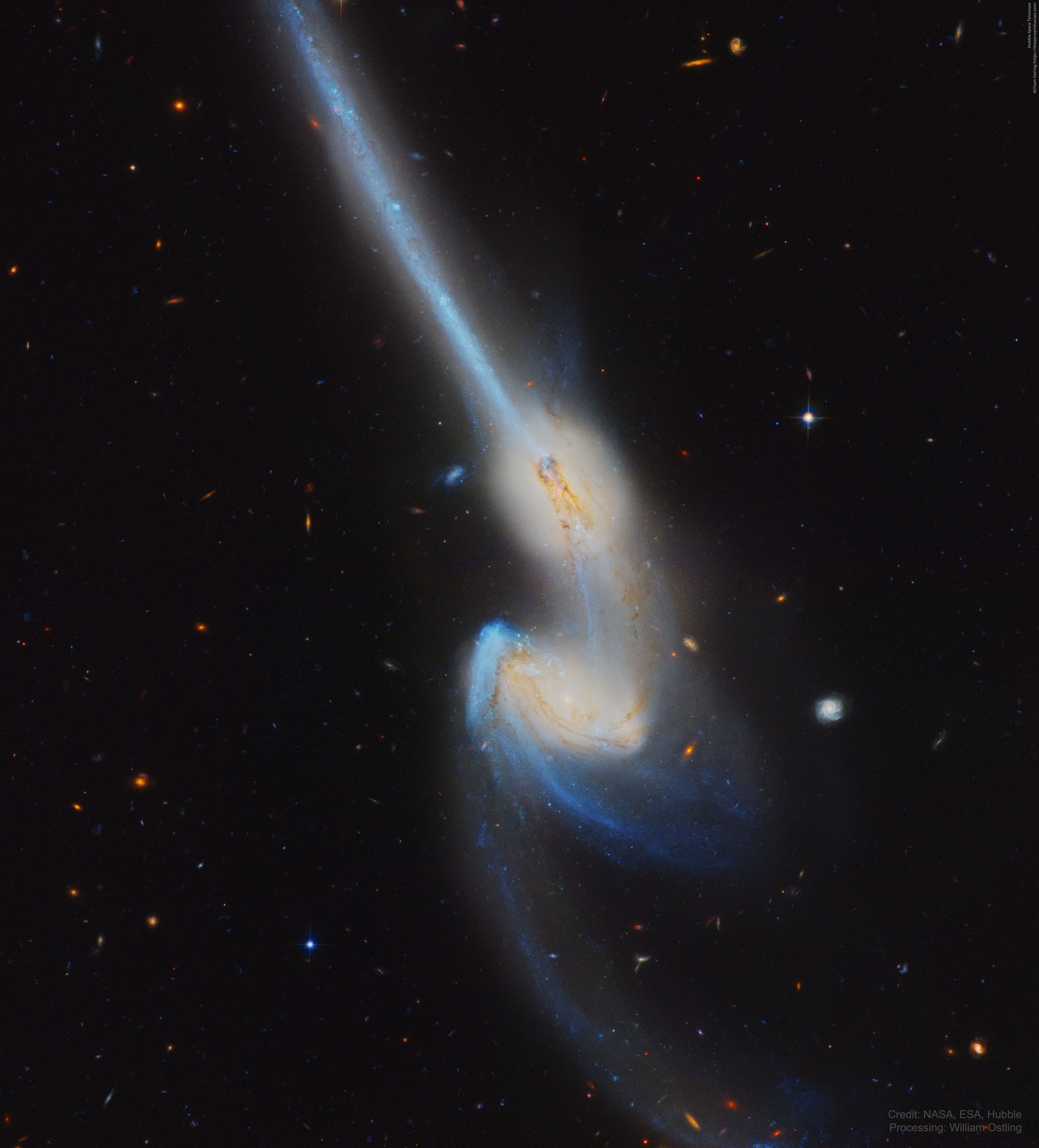 These two mighty galaxies are pulling each other apart. Known as the "Mice" because they have such long tails, each spiral galaxy has likely already passed through the other. The long tails are created by the relative difference between gravitational pulls on the near and far parts of each galaxy. Because the distances are so large, the cosmic interaction takes place in slow motion -- over hundreds of millions of years. NGC 4676 lies about 300 million light-years away toward the constellation of Bernice's Hair (Coma Berenices) and are likely members of the Coma Cluster of Galaxies. The featured picture was taken with the Hubble Space Telescope's Advanced Camera for Surveys in 2002. These galactic mice will probably collide again and again over the next billion years so that, instead of continuing to pull each other apart, they coalesce to form a single galaxy. Follow APOD in English on: Facebook, Instagram, or Twitter