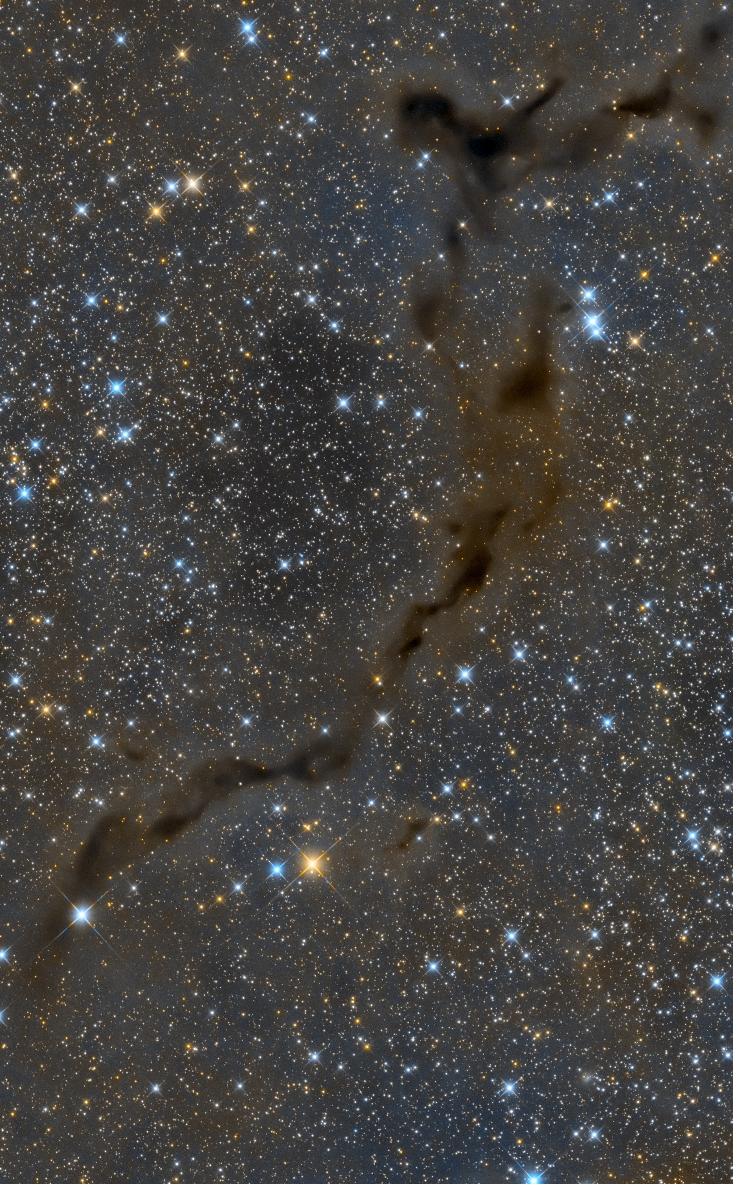 Light-years across, this suggestive shape known as the Seahorse Nebula appears in silhouette against a rich, luminous background of stars. Seen toward the royal northern constellation of Cepheus, the dusty, obscuring clouds are part of a Milky Way molecular cloud some 1,200 light-years distant. It is also listed as Barnard 150 (B150), one of 182 dark markings of the sky cataloged in the early 20th century by astronomer E. E. Barnard. Packs of low mass stars are forming within, but their collapsing cores are only visible at long infrared wavelengths. Still, the colorful stars of Cepheus add to this pretty, galactic skyscape.