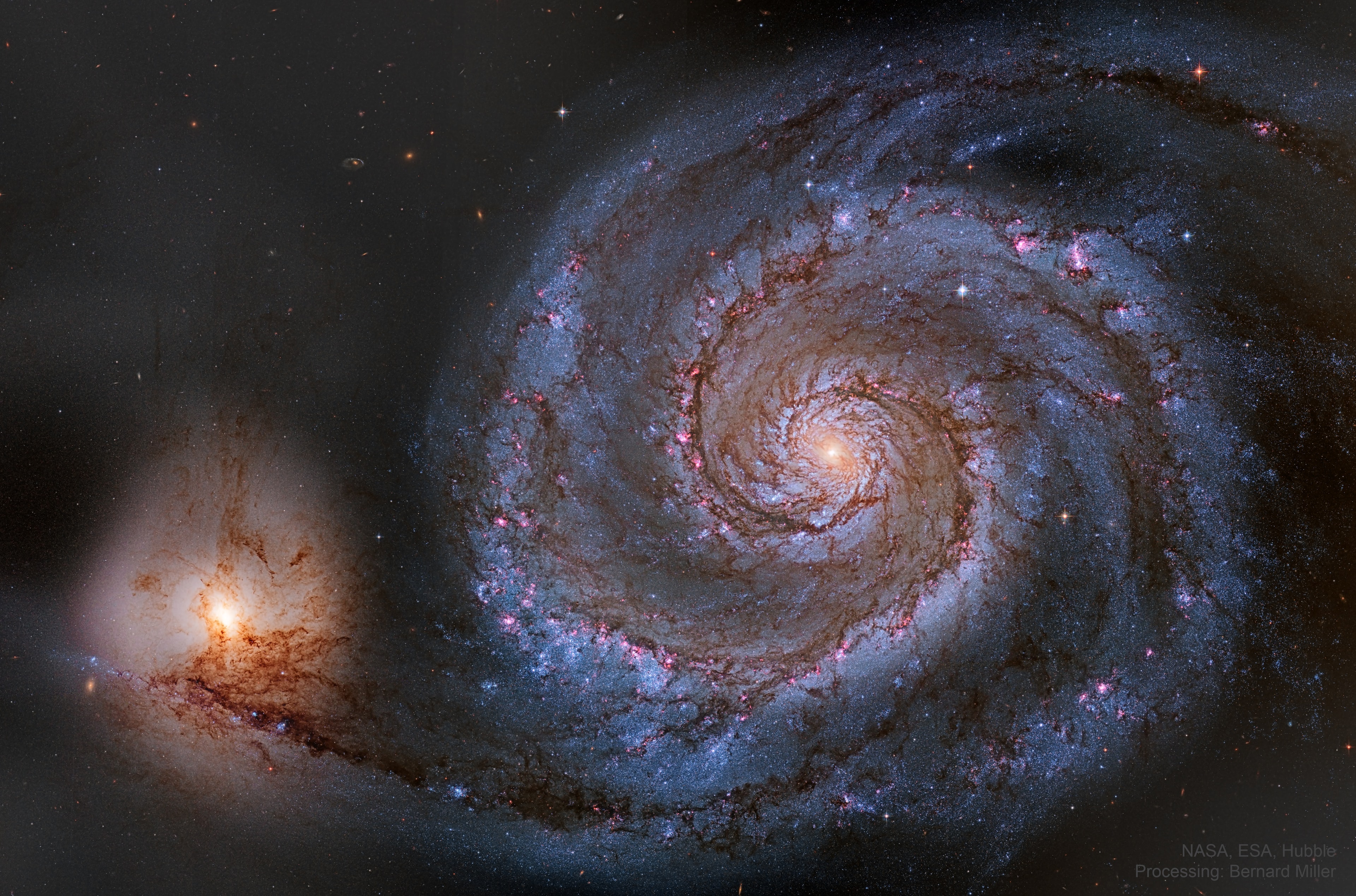 The Whirlpool Galaxy is a classic spiral galaxy. At only 30 million light years distant and fully 60 thousand light years across, M51, also known as NGC 5194, is one of the brightest and most picturesque galaxies on the sky. The featured image is a digital combination of images taken in different colors by the Earth-orbiting Hubble Space Telescope, highlighting many sharp features. Anyone with a good pair of binoculars, however, can see this Whirlpool toward the constellation of the Hunting Dogs (Canes Venatici). M51 is a spiral galaxy of type Sc and is the dominant member of a whole group of galaxies. Astronomers speculate that M51's spiral structure is primarily due to its gravitational interaction with the smaller galaxy on the image left.