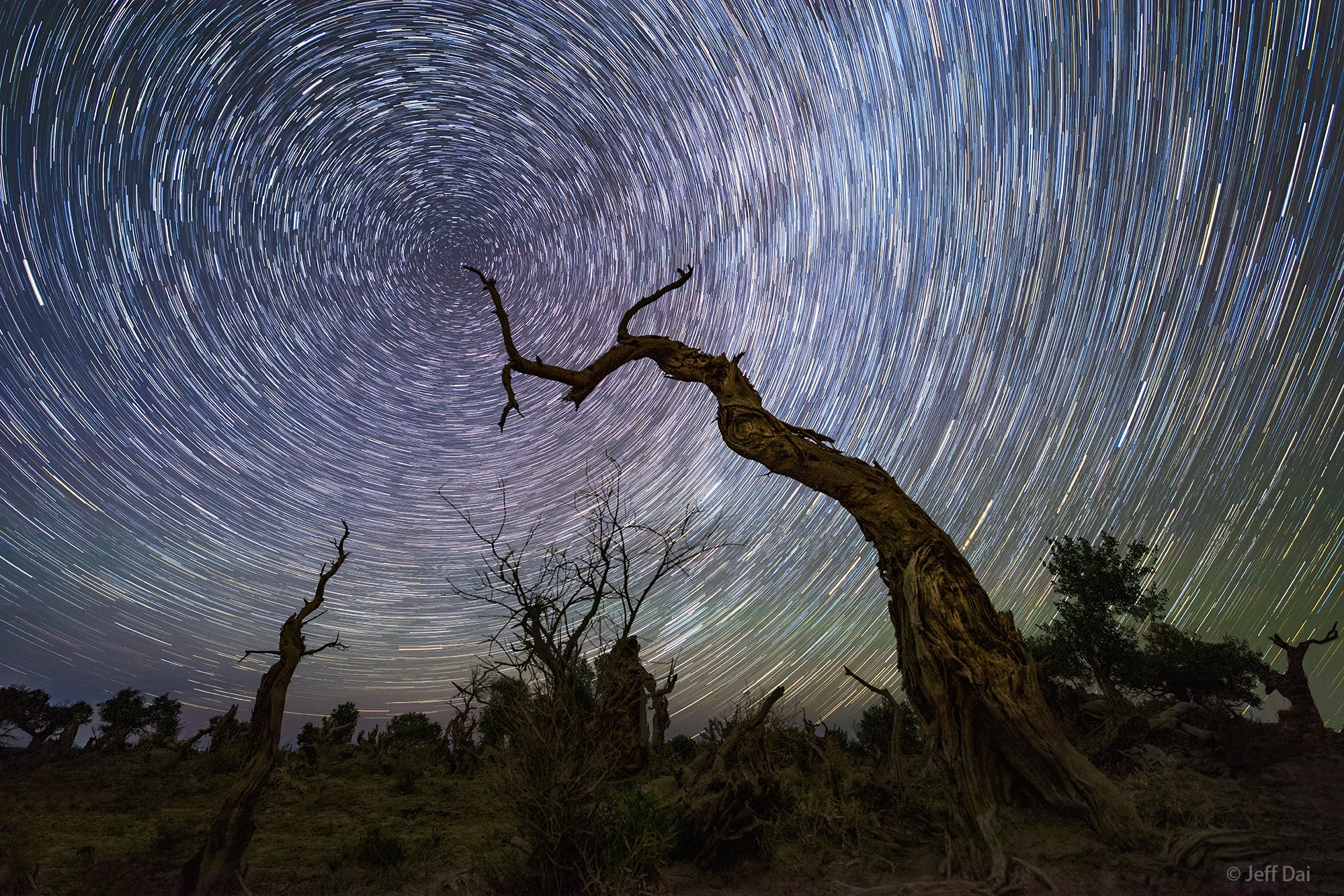 An ancient tree seems to reach out and touch Earth's North Celestial Pole in this well-planned night skyscape. Consecutive exposures for the timelapse composition were recorded with a camera fixed to a tripod in the Yiwu Desert Poplar Forests in northwest Xinjiang, China. The graceful star trail arcs reflect Earth's daily rotation around its axis. By extension, the axis of rotation leads to the center of the concentric arcs in the night sky. Known as the North Star, bright star Polaris is a friend to northern hemisphere night sky photographers and celestial navigators alike. That's because Polaris lies very close to the North Celestial Pole on the sky. Of course it can be found at the tip of an outstretched barren branch in a postcard from a rotating planet.