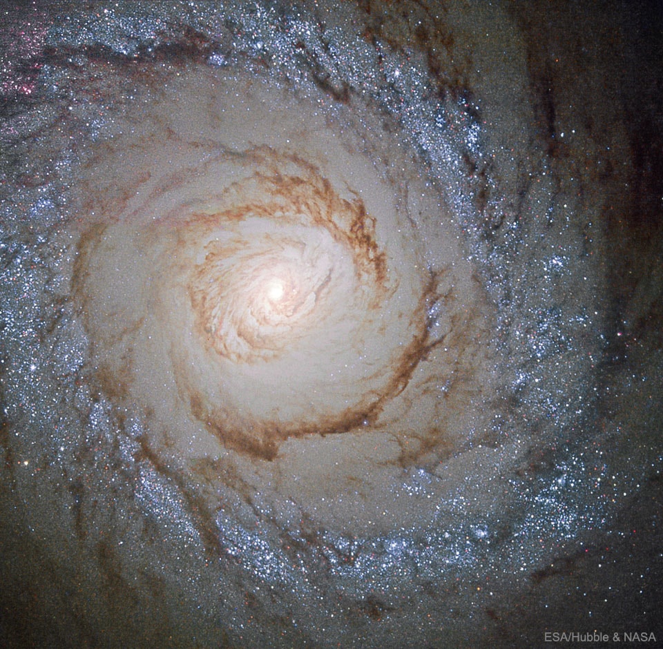 Why does this galaxy have a ring of bright blue stars? Beautiful island universe Messier 94 lies a mere 15 million light-years distant in the northern constellation of the Hunting Dogs (Canes Venatici). A popular target for Earth-based astronomers, the face-on spiral galaxy is about 30,000 light-years across, with spiral arms sweeping through the outskirts of its broad disk. But this Hubble Space Telescope field of view spans about 7,000 light-years across M94's central region. The featured close-up highlights the galaxy's compact, bright nucleus, prominent inner dust lanes, and the remarkable bluish ring of young massive stars. The ring stars are all likely less than 10 million years old, indicating that M94 is a starburst galaxy that is experiencing an epoch of rapid star formation from inspiraling gas. The circular ripple of blue stars is likely a wave propagating outward, having been triggered by the gravity and rotation of a oval matter distributions. Because M94 is relatively nearby, astronomers can better explore details of its starburst ring.