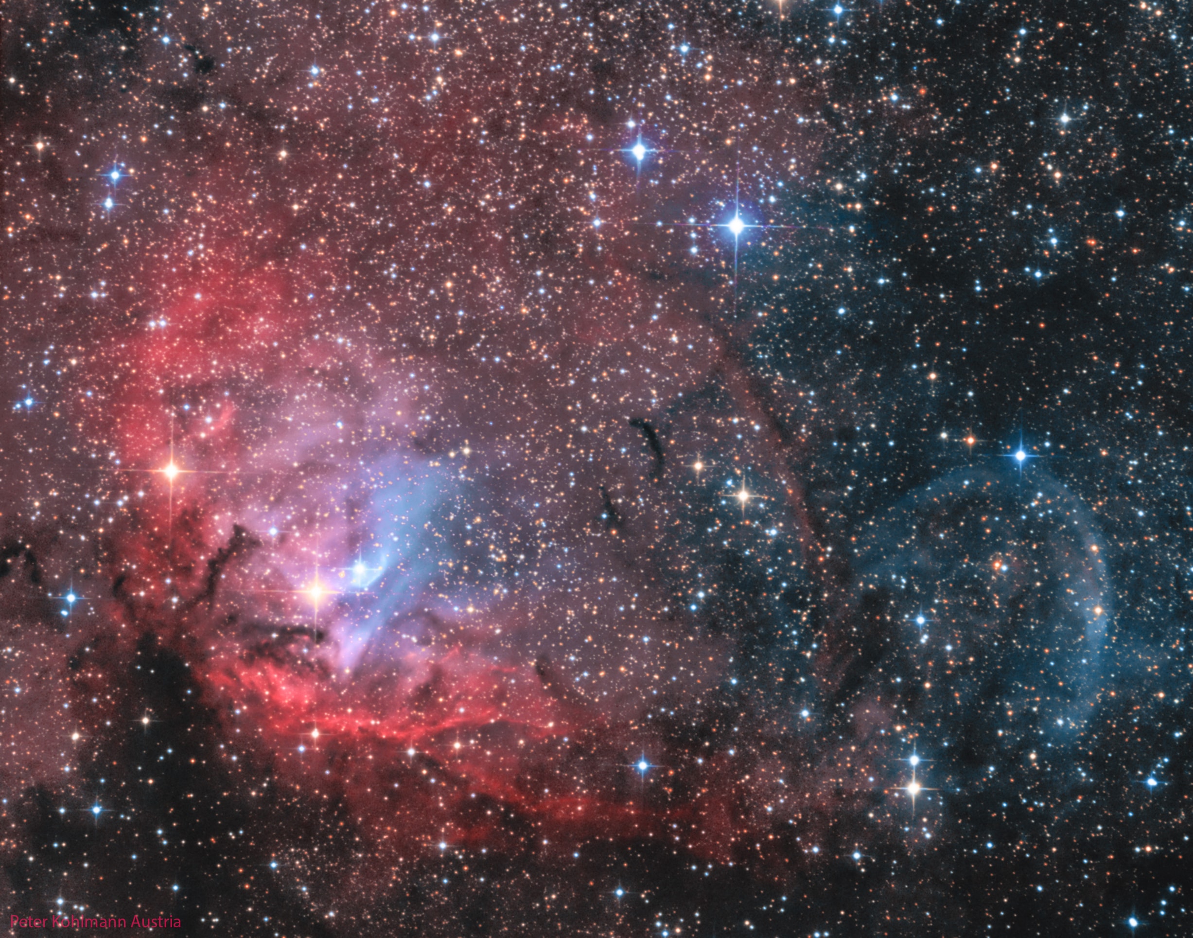 Framing a bright emission region, this telescopic view looks out along the plane of our Milky Way Galaxy toward the nebula rich constellation Cygnus the Swan. Popularly called the Tulip Nebula, the reddish glowing cloud of interstellar gas and dust is also found in the 1959 catalog by astronomer Stewart Sharpless as Sh2-101. Nearly 70 light-years across, the complex and beautiful Tulip Nebula blossoms about 8,000 light-years away. Ultraviolet radiation from young energetic stars at the edge of the Cygnus OB3 association, including O star HDE 227018, ionizes the atoms and powers the emission from the Tulip Nebula. Also in the field of view is microquasar Cygnus X-1, one of the strongest X-ray sources in planet Earth's sky. Blasted by powerful jets from a lurking black hole its fainter bluish curved shock front is only just visible though, beyond the cosmic Tulip's petals near the right side of the frame. Back to School? Learn Science with NASA