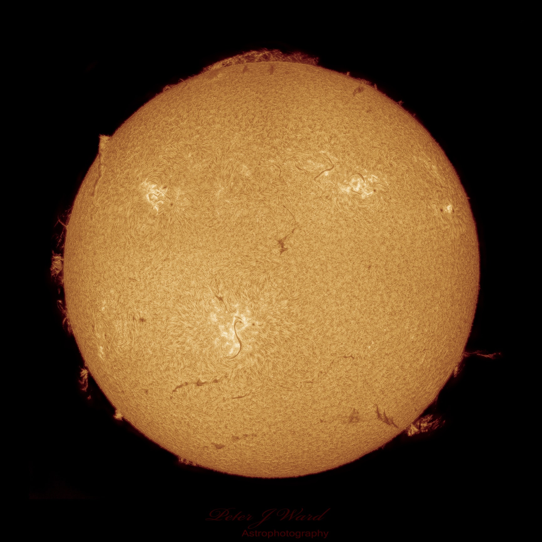Perihelion for 2023, Earth's closest approach to the Sun, was on January 4 at 16:17 UTC. That was less than 24 hours after this sharp image of the Sun's disk was recorded with telescope and H-alpha filter from Sydney, Australia, planet Earth. An H-alpha filter transmits a characteristic red light from hydrogen atoms. In views of the Sun it emphasizes the Sun's chromosphere, a region just above the solar photosphere or normally visible solar surface. In this H-alpha image of the increasingly active Sun planet-sized sunspot regions are dominated by bright splotches called plages. Dark filaments of plasma snaking across the solar disk transition to bright prominences when seen above the solar limb.
