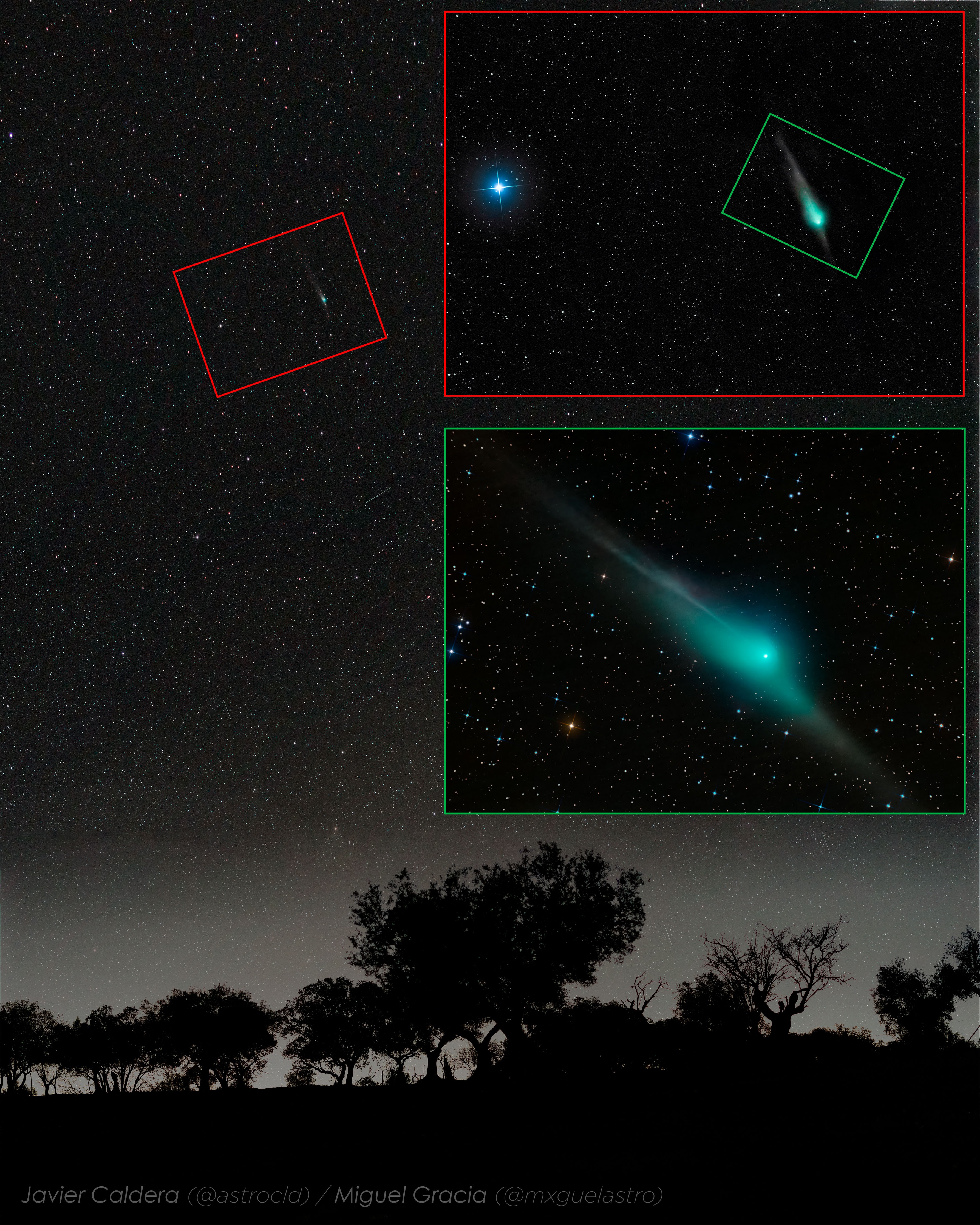 Comet ZTF has a distinctive shape. The now bright comet visiting the inner Solar System has been showing not only a common dust tail, ion tail, and green gas coma, but also an uncommonly distinctive antitail. The antitail does not actually lead the comet -- it is just that the head of the comet is seen superposed on part of the fanned-out and trailing dust tail. The giant dirty snowball that is Comet C/2022 E3 (ZTF) has now passed its closest to the Sun and tomorrow will pass its closest to the Earth. The main panel of the featured triple image shows how Comet ZTF looked last week to the unaided eye under a dark and clear sky over Cáceres, Spain. The top inset image shows how the comet looked through binoculars, while the lower inset shows how the comet looked through a small telescope. The comet is now visible all night long from northern latitudes but will surely fade from easy observation during the next few weeks. Comet ZTF Gallery: Notable Submissions to APOD