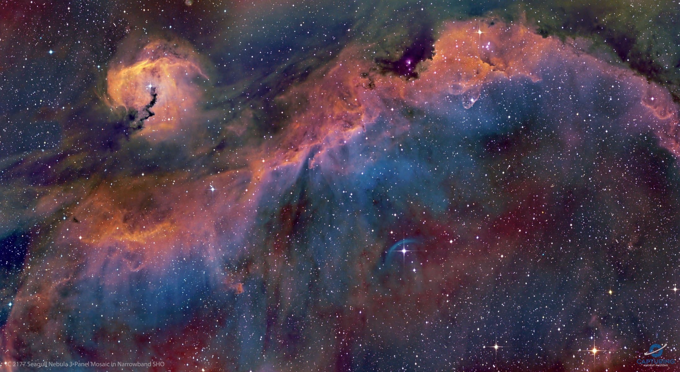 A broad expanse of glowing gas and dust presents a bird-like visage to astronomers from planet Earth, suggesting its popular moniker - The Seagull Nebula. Using narrowband image data, this 3-panel mosaic of the cosmic bird covers a 2.5 degree swath across the plane of the Milky Way, near the direction of Sirius, alpha star of the constellation Canis Major. Likely part of a larger shell structure swept up by successive supernova explosions, the broad Seagull Nebula is cataloged as Sh2-296 and IC 2177. The prominent bluish arc below and right of center is a bow shock from runaway star FN Canis Majoris. This complex of gas and dust clouds with other stars of the Canis Majoris OB1 association spans over 200 light-years at the Seagull Nebula's estimated 3,800 light-year distance.