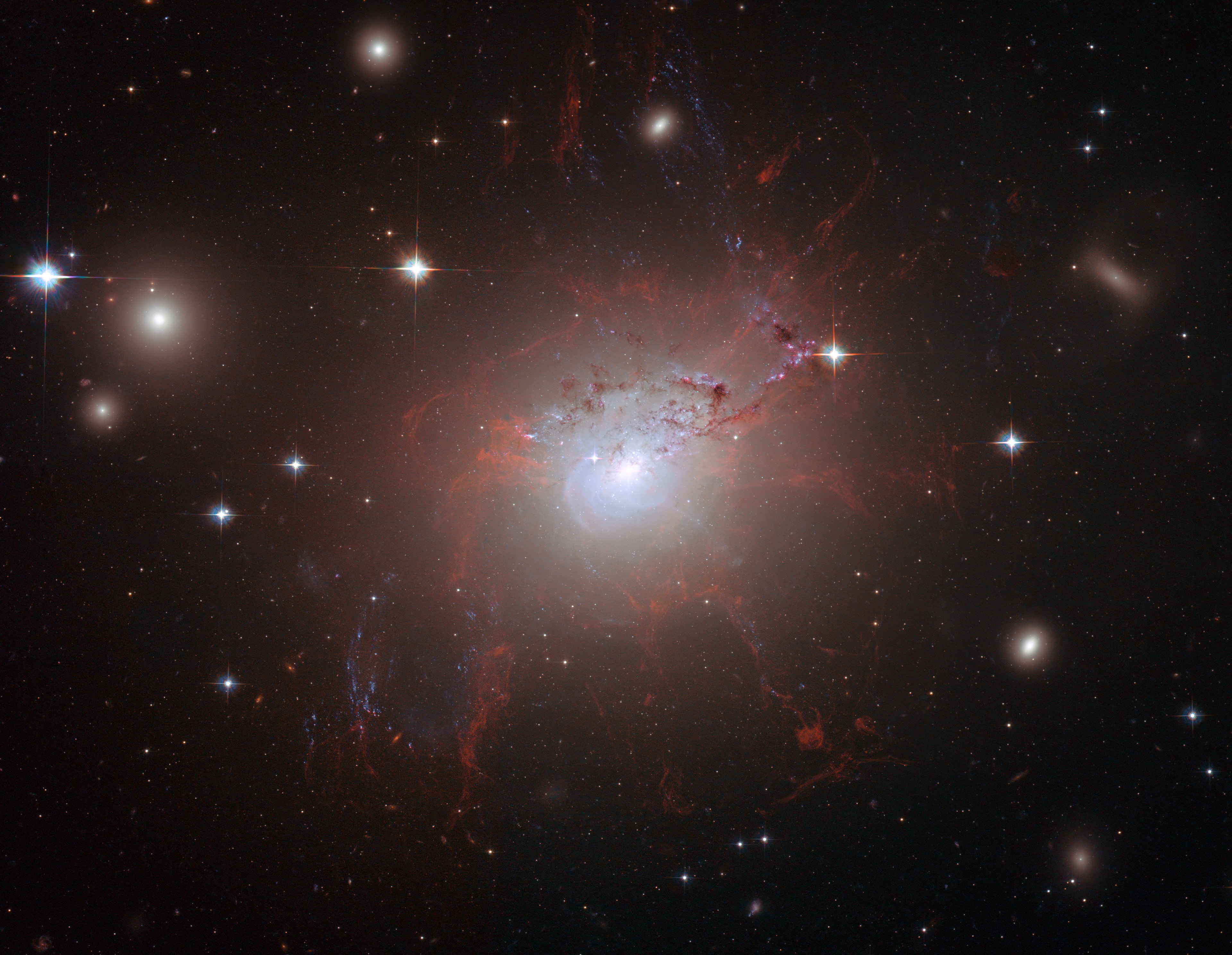 Active galaxy NGC 1275 is the central, dominant member of the large and relatively nearby Perseus Cluster of Galaxies. Wild-looking at visible wavelengths, the active galaxy is also a prodigious source of x-rays and radio emission. NGC 1275 accretes matter as entire galaxies fall into it, ultimately feeding a supermassive black hole at the galaxy's core. This color composite image made from Hubble Space Telescope data recorded during 2006. It highlights the resulting galactic debris and filaments of glowing gas, some up to 20,000 light-years long. The filaments persist in NGC 1275, even though the turmoil of galactic collisions should destroy them. What keeps the filaments together? Observations indicate that the structures, pushed out from the galaxy's center by the black hole's activity, are held together by magnetic fields. Also known as Perseus A, NGC 1275 spans over 100,000 light years and lies about 230 million light years away.