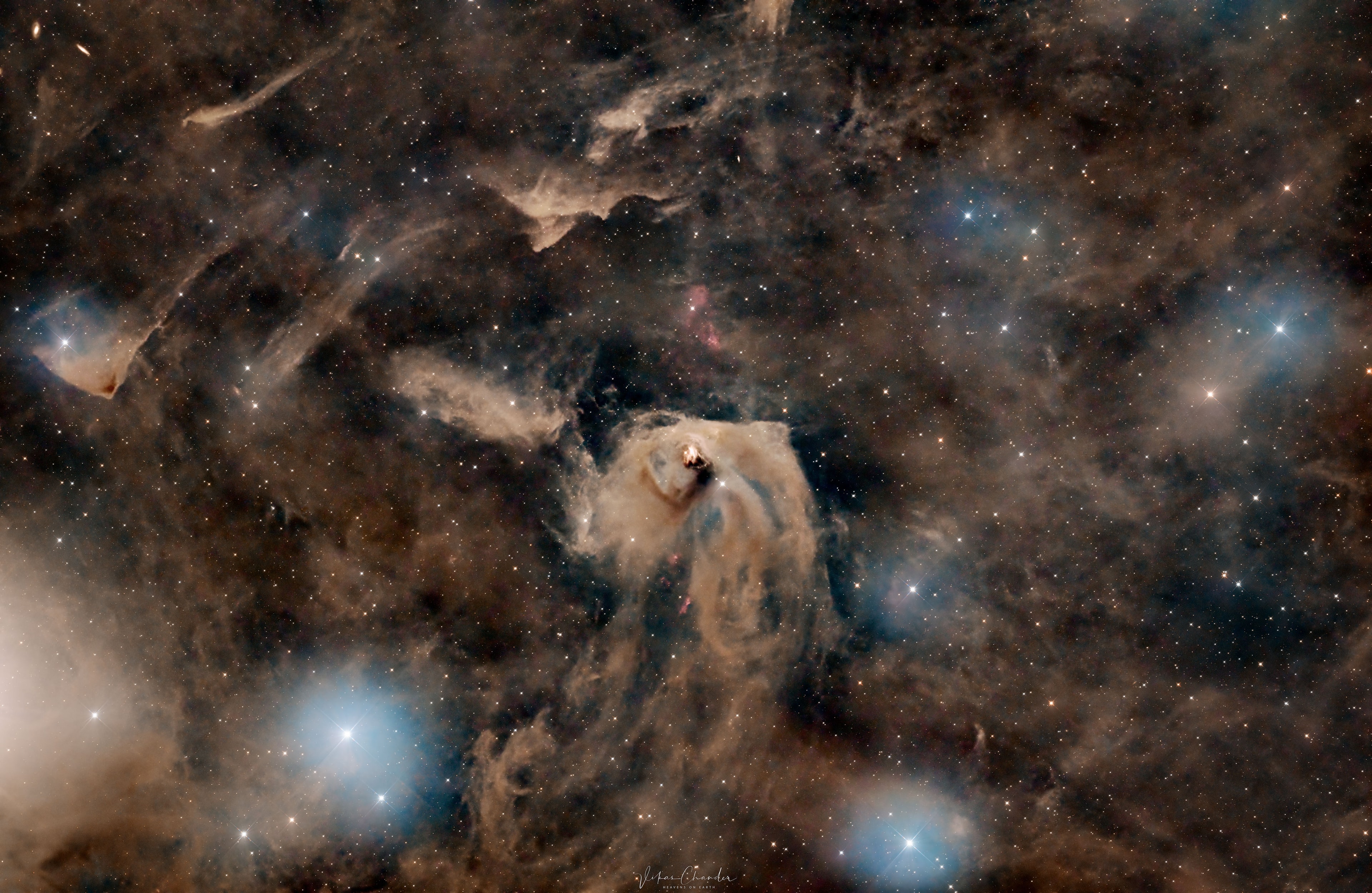 Can dust be beautiful? Yes, and it can also be useful. The Taurus molecular cloud has several bright stars, but it is the dark dust that really draws attention. The pervasive dust has waves and ripples and makes picturesque dust bunnies, but perhaps more importantly, it marks regions where interstellar gas is dense enough to gravitationally contract to form stars. In the image center is a light cloud lit by neighboring stars that is home not only to a famous nebula, but to a very young and massive famous star. Both the star, T Tauri, and the nebula, Hind's Variable Nebula, are seen to vary dramatically in brightness -- but not necessarily at the same time, adding to the mystery of this intriguing region. T Tauri and similar stars are now generally recognized to be Sun-like stars that are less than a few million years old and so still in the early stages of formation. The featured image spans about four degrees not far from the Pleiades star cluster, while the featured dust field lies about 400 light-years away.