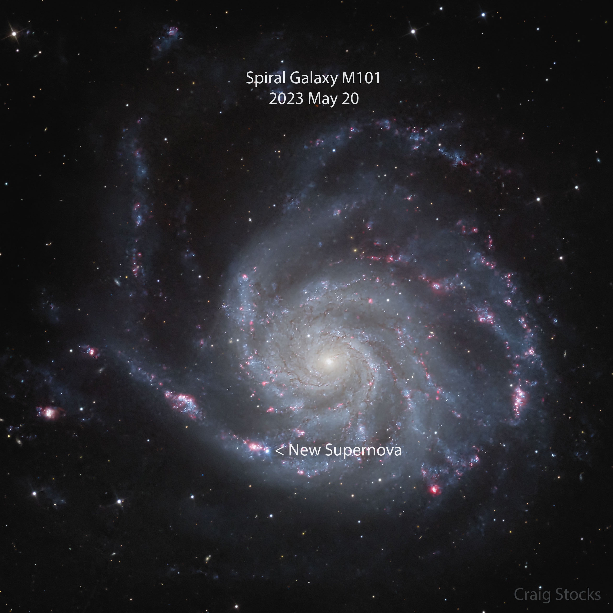 A nearby star has exploded and humanity's telescopes are turning to monitor it. The supernova, dubbed SN 2023ixf, was discovered by Japanese astronomer Koichi Itagaki three days ago and subsequently located on automated images from the Zwicky Transient Facility two days earlier. SN 2023ixf occurred in the photogenic Pinwheel Galaxy M101, which, being only about 21 million light years away, makes it the closest supernova seen in the past five years, the second closest in the past 10 years, and the second supernova found in M101 in the past 15 years. Rapid follow up observations already indicate that SN 2023ixf is a Type II supernova, an explosion that occurs after a massive star runs out of nuclear fuel and collapses. The featured image shows home spiral galaxy two days ago with the supernova highlighted, while the roll-over image shows the same galaxy a month before. SN 2023ixf will likely brighten and remain visible to telescopes for months. Studying such a close and young Type II supernova may yield new clues about massive stars and how they explode.
