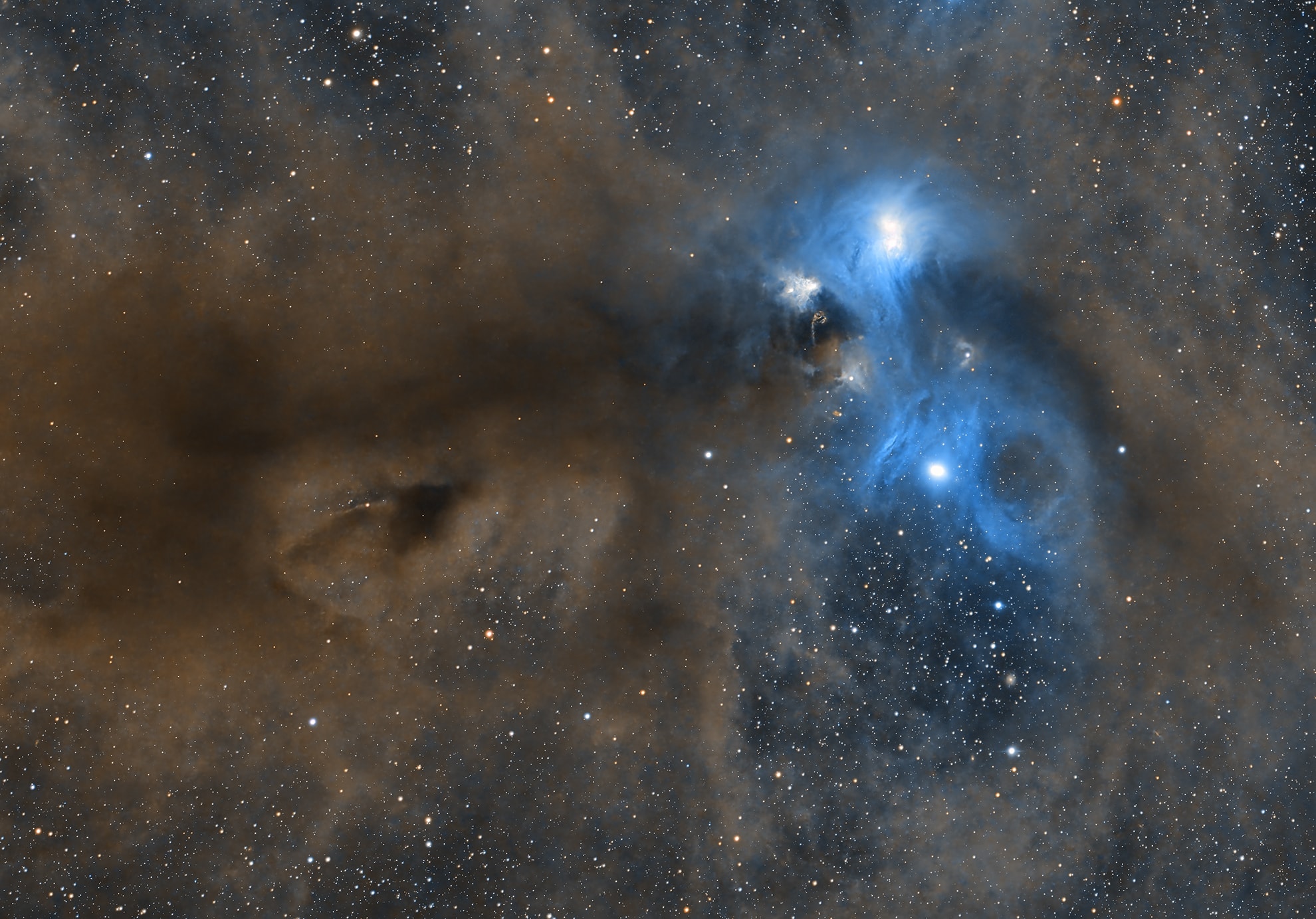 Cosmic dust clouds cross a rich field of stars in this telescopic vista near the northern boundary of Corona Australis, the Southern Crown. Part of a sprawling molecular cloud complex this star forming region is a mere 500 light-years away. That's about one third the distance of the more famous stellar nursery known as the Orion Nebula. The 2 degree wide frame would span 15 light-years at the clouds' estimated distance. Mixed with bright nebulosities the dust clouds effectively block light from more distant background stars in the Milky Way and obscure from view embedded stars still in the process of formation. Large dark nebula Bernes 157 is on the left. To its right are a group of pretty reflection nebulae cataloged as NGC 6726, 6727, 6729, and IC 4812. Their characteristic blue color is produced as light from hot stars is reflected by the cosmic dust. The more compact NGC 6729 surrounds young variable star R Coronae Australis. Just below it, filamentary arcs and loops are identified as Herbig Haro objects associated with energetic newborn stars. In fact, at the heart of this area lies the Coronet Cluster, one of the nearest and most active star forming regions.