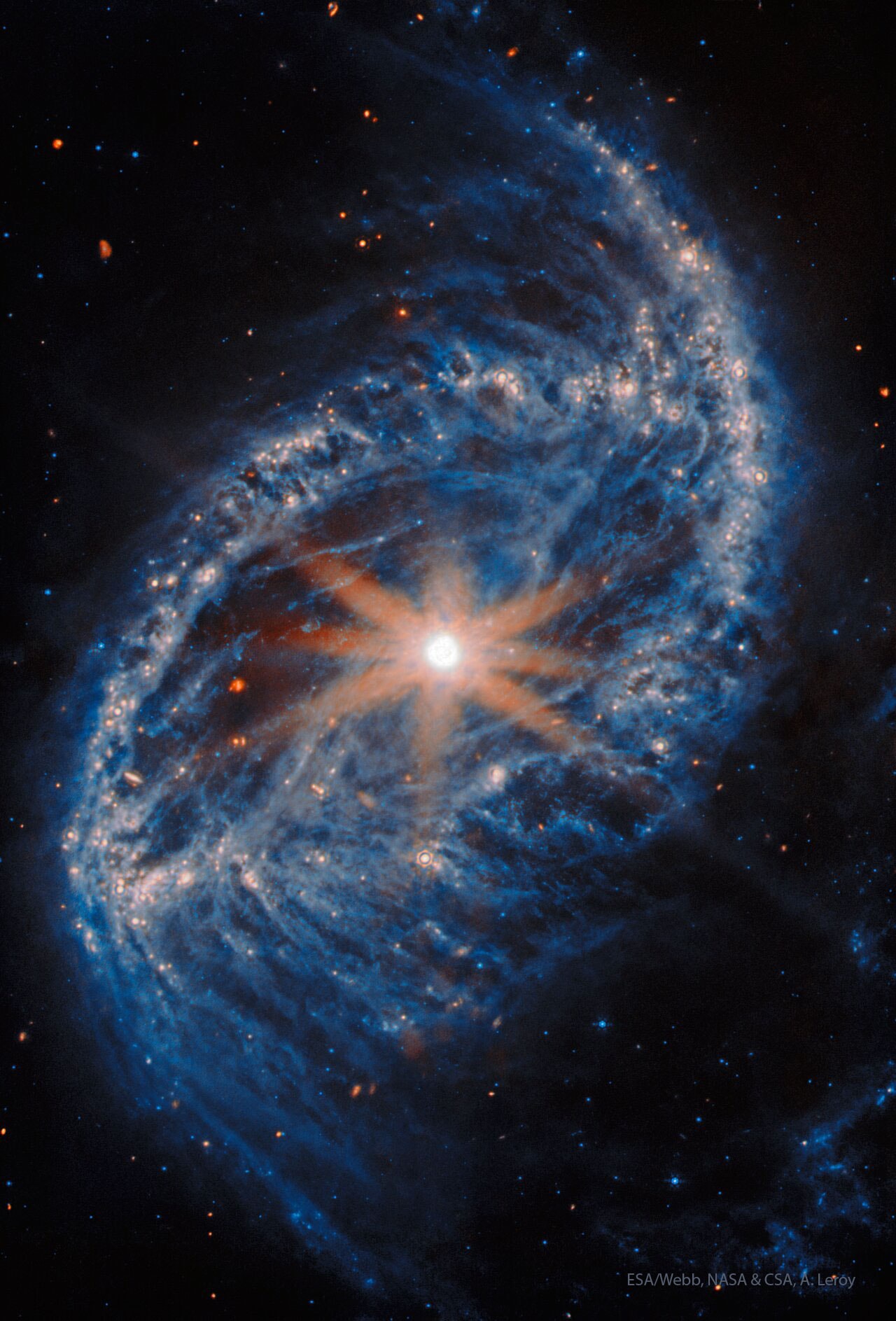 What’s happening in the center of spiral galaxy NGC 2566? First, the eight rays that appear to be coming out of the center in the featured infrared image are not real — they are diffraction spikes caused by the mechanical structure of the Webb space telescope itself. The center of NGC 2566 is bright but not considered unusual, which means that it likely contains a supermassive black hole, although currently not very active. At only 76 million light years away, the light we see from NGC 2566 today left when dinosaurs roamed the Earth. The picturesque galaxy is close enough so that Earthly telescopes, including Webb and Hubble, can resolve the turbulent clouds of gas and dust where stars can form and so allows study of stellar evolution. NGC 2566, similar in size to our Milky Way Galaxy, is notable for its bright central bar and its prominent outer spiral arms.