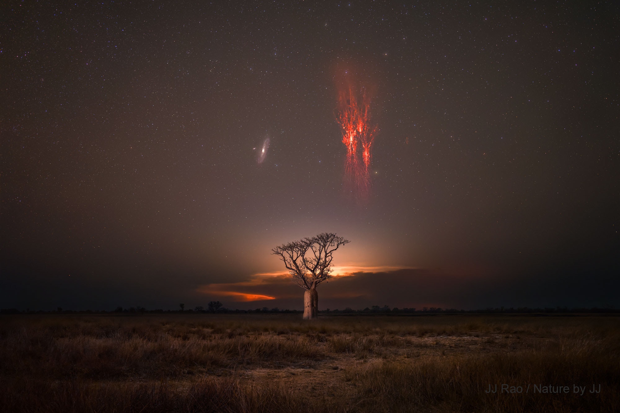 What’s happening over that tree? Two very different things. On the left is the Andromeda galaxy, an object that is older than humanity and will last billions of years into the future. Andromeda (M31) is similar in size and shape to our own Milky Way Galaxy. On the right is a red sprite, a type of lightning that lasts a fraction of a second and occurs above violent thunderstorms. Red sprites were verified as real atmospheric phenomena only about 35 years ago. The tree in the center is a boab, which may live for as long as a thousand years. Boab trees grow naturally in Australia and Africa and are known for being able to store large amounts of water: up to 100,000 liters. The featured image was captured last month near Derby in Western Australia.