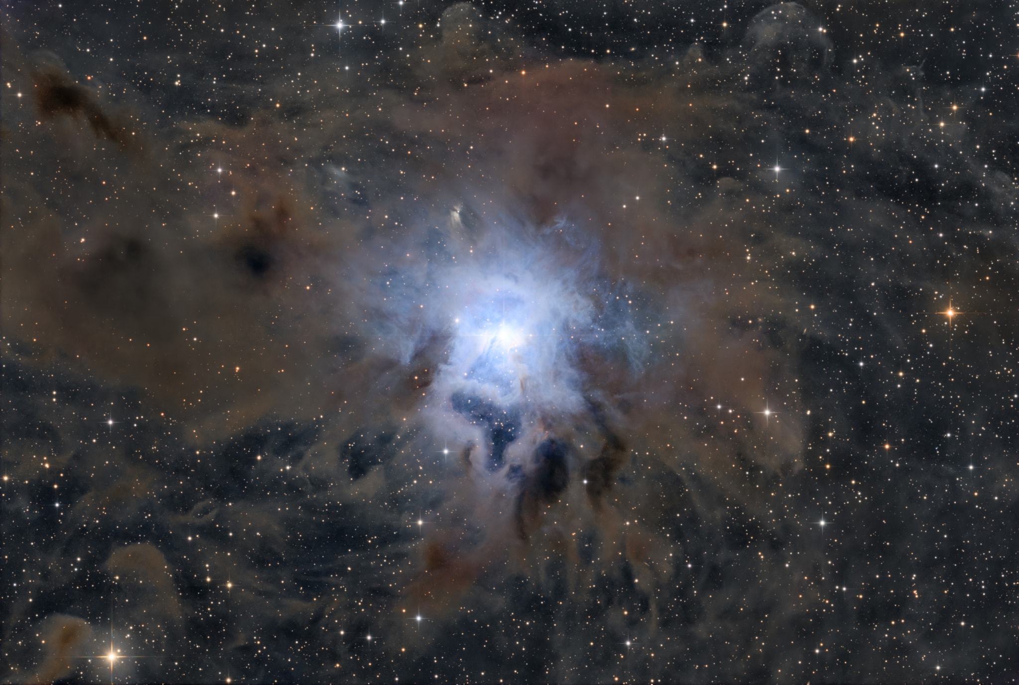 These cosmic clouds have blossomed 1,300 light-years away in the fertile starfields of the constellation Cepheus. Called the Iris Nebula, NGC 7023 is not the only nebula to evoke the imagery of flowers. Still, this deep telescopic image shows off the Iris Nebula's range of colors and symmetries embedded in surrounding fields of interstellar dust. Within the Iris itself, dusty nebular material surrounds a hot, young star. The dominant color of the brighter reflection nebula is blue, characteristic of dust grains reflecting starlight. Central filaments of the reflection nebula glow with a faint reddish photoluminescence as some dust grains effectively convert the star's invisible ultraviolet radiation to visible red light. Infrared observations indicate that this nebula contains complex carbon molecules known as PAHs. The dusty blue petals of the Iris Nebula span about six light-years.