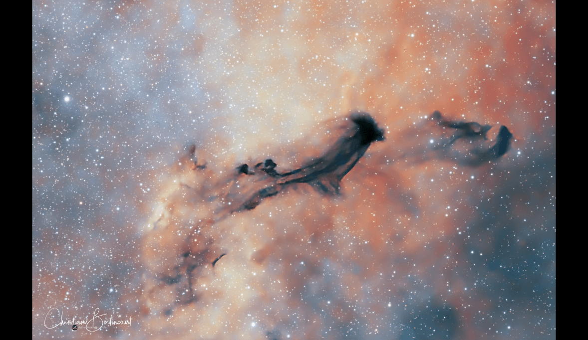 "A ghost in the Milky Way…” says Christian Bertincourt, the astrophotographer behind this striking image of Barnard 93 (B93). The 93rd entry in Barnard’s Catalogue of Dark Nebulae, B93 lies within the Small Sagittarius Star Cloud (Messier 24), where its darkness stands in stark contrast to bright stars and gas in the background. In some ways, B93 is really like a ghost, because it contains gas and dust that was dispersed by the deaths of stars, like supernovas. B93 appears as a dark void not because it is empty, but because its dust blocks the light emitted by more distant stars and glowing gas. Like other dark nebulas, some gas from B93, if dense and massive enough, will eventually gravitationally condense to form new stars. If so, then once these stars ignite, B93 will transform from a dark ghost into a brilliant cradle of newborn stars.
