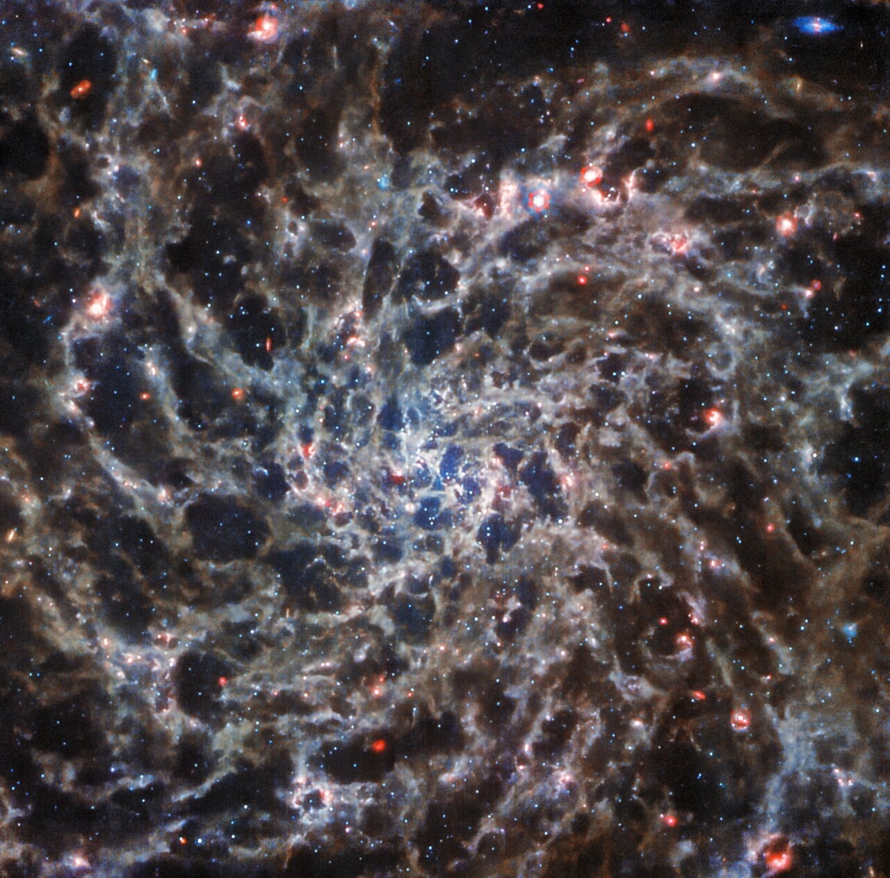 What does the universe look like through infrared goggles? Our eyes can only see visible light, but astronomers want to see more. Today’s APOD shows spiral galaxy IC 5332 as seen by two NASA telescopes: Webb in mid-infrared and Hubble in ultraviolet and visible light. To toggle between the two space-based views just slide your cursor over the image (or follow this link). The Hubble image highlights the spiral arms of the galaxy separated by dark regions, whereas the Webb image reveals a finer, more tangled structure. Interstellar dust scatters and absorbs light from the stars in the galaxy, causing the dark dust lanes in the Hubble image, and then emits heat in infrared light, so dust glows in this Webb image. The Mid-InfraRed Instrument on Webb needs to operate at a chilling temperature of -266ºC (or - 447ºF), otherwise it would detect infrared radiation from the telescope itself. Combining these observations, astronomers connect the “small scale” of gas and stars to the truly large scale of galactic structure and evolution.