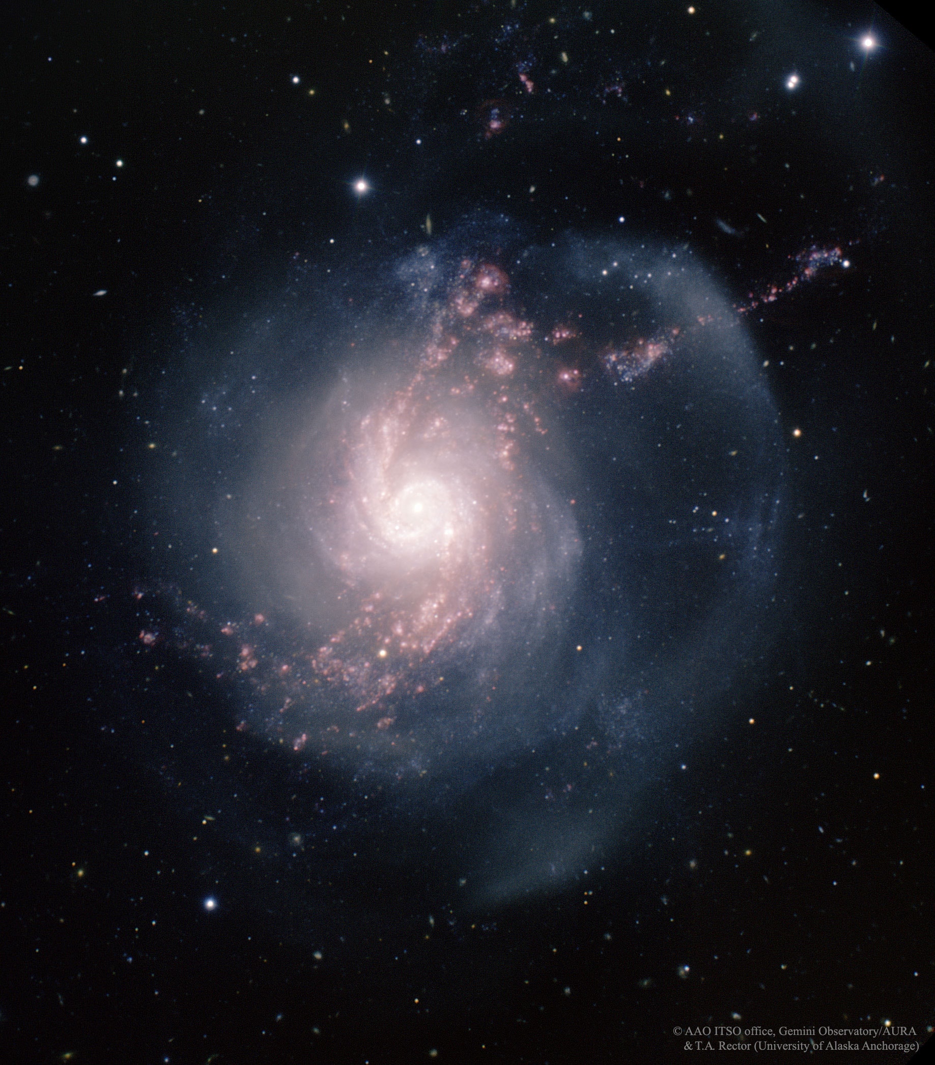 The party is still going on in spiral galaxy NGC 3310. Roughly 100 million years ago, NGC 3310 likely collided with a smaller galaxy causing the large spiral galaxy to light up with a tremendous burst of star formation. The changing gravity during the collision created density waves that compressed existing clouds of gas and triggered the star-forming party. The featured image from the Gemini North Telescope shows the galaxy in great detail, color-coded so that pink highlights gas while white and blue highlight stars. Some of the star clusters in the galaxy are quite young, indicating that starburst galaxies may remain in star-burst mode for quite some time. NGC 3310 spans about 50,000 light years, lies about 50 million light years away, and is visible with a small telescope towards the constellation of Great Bear Ursa Major.