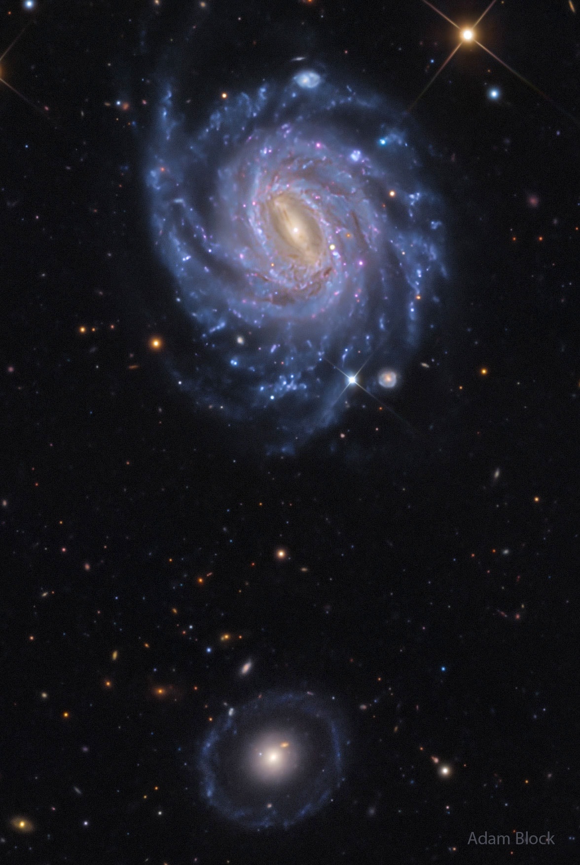 The upper galaxy might be more photogenic, but the lower galaxy is more unusual. The galaxy up top is NGC 3660, a spiral galaxy similar to our own Milky Way galaxy in that it has several bright blue spiral arms and a central bar of stars, dust, and gas. Captured by chance in the featured deep and colorful image, surprisingly, is SN 2026cff, a supernova found just to the right of the central bar. Farther in the distance is the bottom galaxy, known informally as Burçin’s galaxy, but formally cataloged as LEDA 1000714. The center of this galaxy appears to be an old elliptical galaxy, but it is strangely surrounded by not one but two rings of stars. What created Burçin's galaxy is a mystery and remains a continuing topic of research, but it likely involves the accretion of one or more smaller galaxies.