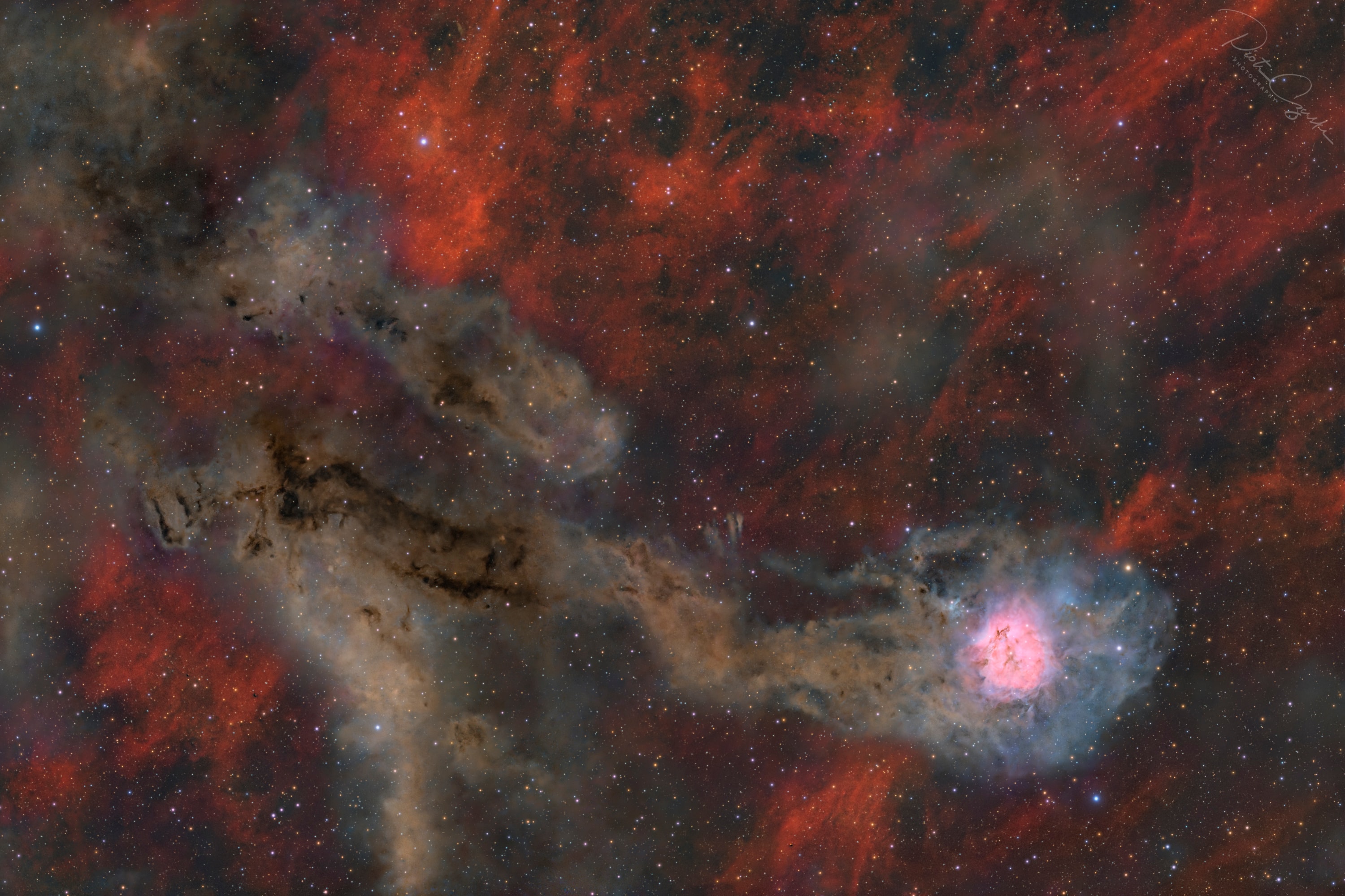 When does a nebula look like a comet? In this crowded starfield covering over two degrees within the high-flying constellation of the Swan (Cygnus), the eye is drawn to the Cocoon Nebula. A compact star forming region, the cosmic Cocoon punctuates a nebula bright in emission and reflection on the lower right, with a long trail of interstellar dust clouds to the left, making the entire complex appear a bit like a comet. Cataloged as IC 5146, the central bright head of the nebula spans about 10 light years, while the dark dusty tail spans nearly 100 light years. Both are located about 2,500 light years away. A bright star near the colorful nebula's center likely supplies power and helps clear out a cavity. The long dusty filaments of the tail, although dark in this visible light image, hide stars in the process of formation. The featured image was captured in July from Death Valley, California, USA. APOD's main NASA site is moving: From apod.nasa.gov to science.nasa.gov/apod