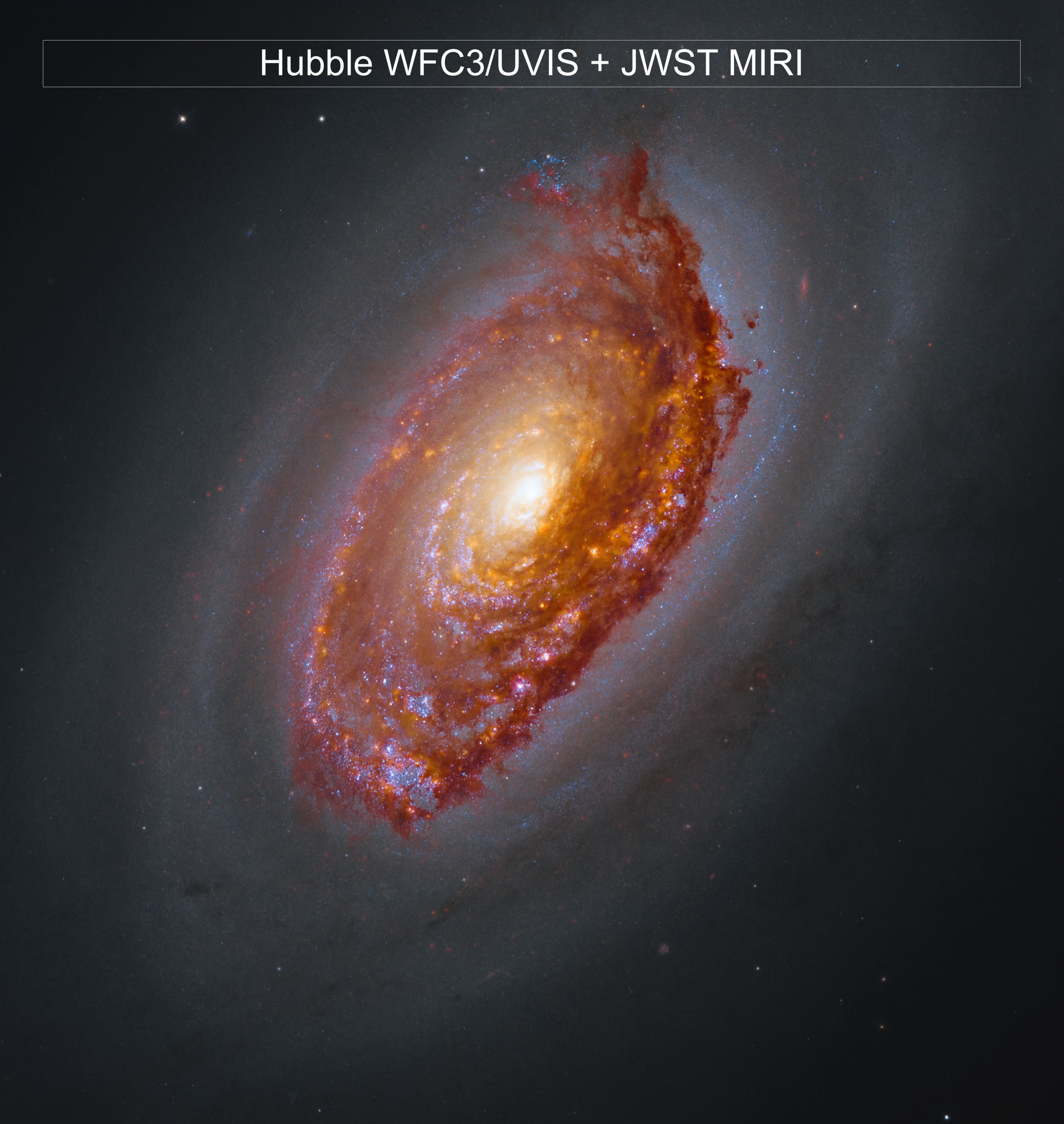 Sometimes where Hubble finds darkness, Webb sees light. An example is today’s composite images of Messier 64 (M64), a nearby spiral galaxy of many names. The dark band of dust partially blocking its bright core earned it the moniker “the Black Eye Galaxy.” Webb’s Mid-InfraRed Instrument (MIRI) sees that dust, shown in red, as it absorbs and re-emits light from surrounding newborn stars. These young stars are embedded in pink star-forming regions in the secondary Hubble-only image. M64’s inner and outer gas regions counter-rotate, creating regions of increased star formation where the two gas “currents” meet and compress. A merger between M64 and a smaller galaxy was likely the cause of the opposing motion of the outer gas. Spiral galaxies were once thought to have peaceful histories. M64 was key evidence that spiral galaxies, including the Milky Way, can and do experience mergers. Webb’s view of M64 will tell astronomers about the structure, motion, and composition of the galaxy’s dust and add context to the galaxy’s merger history and evolution. APOD's main NASA site is moving: From apod.nasa.gov to science.nasa.gov/apod